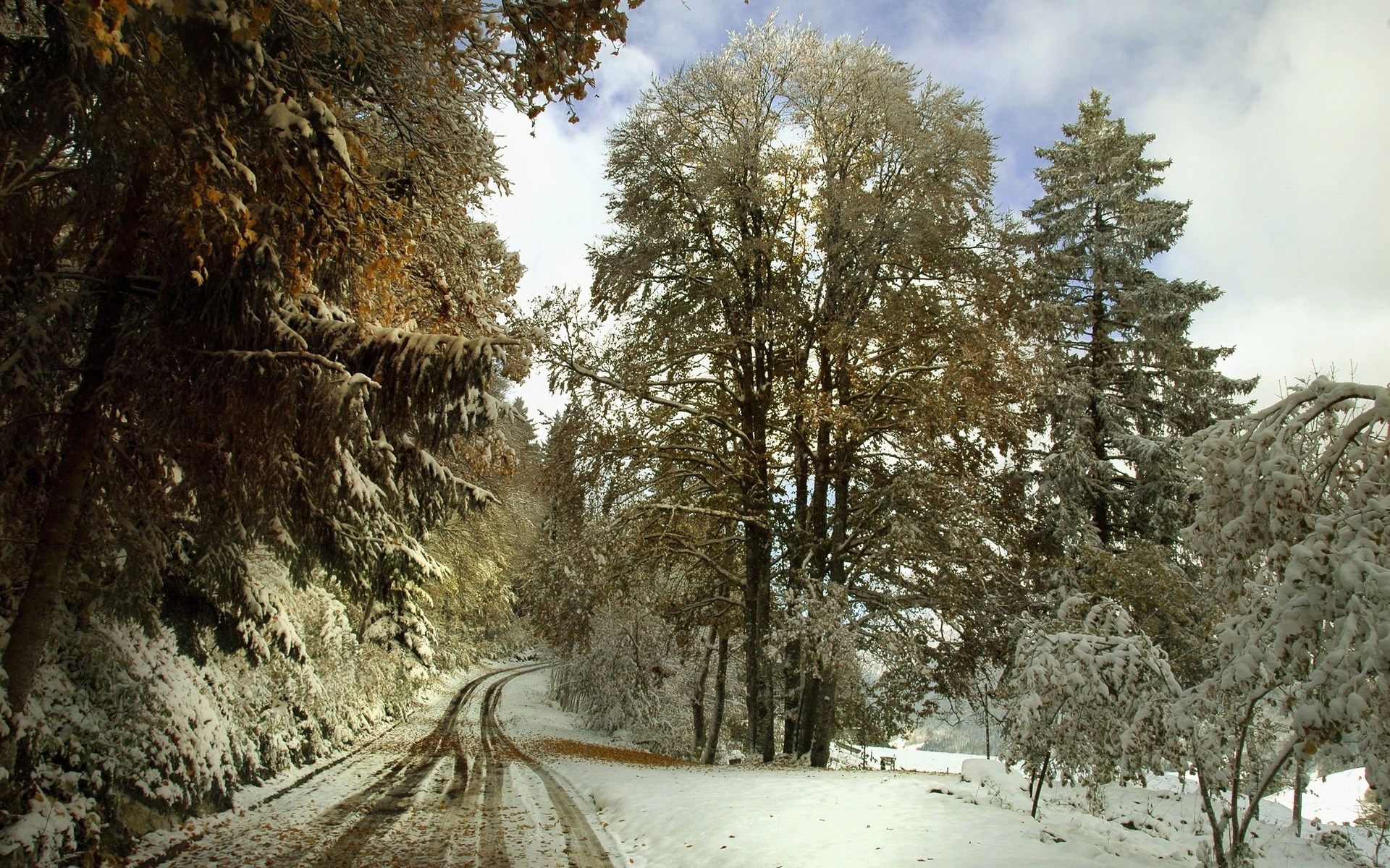Snow-covered road winding through a forest HD Wallpaper