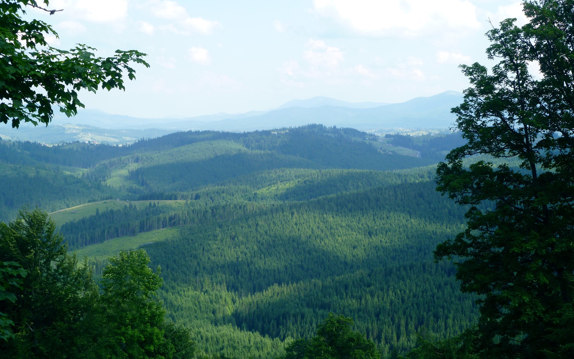 Mountain range covered in green forest under a cloudy sky HD Wallpaper