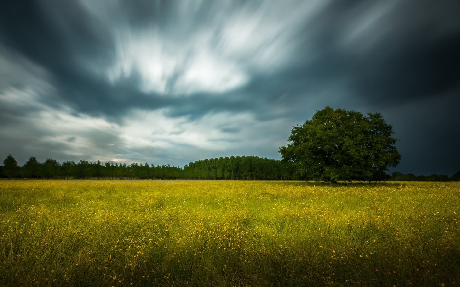 Long exposure of a field with a tree and stormy clouds HD Wallpaper