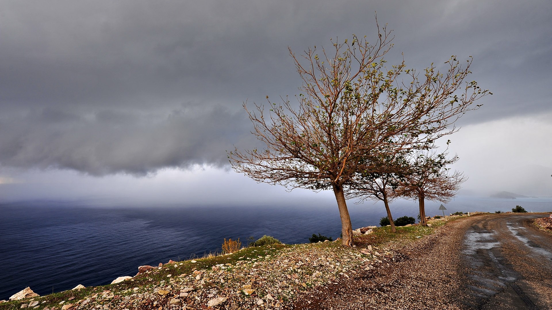 Stormy sky over the sea with trees and a road HD Wallpaper