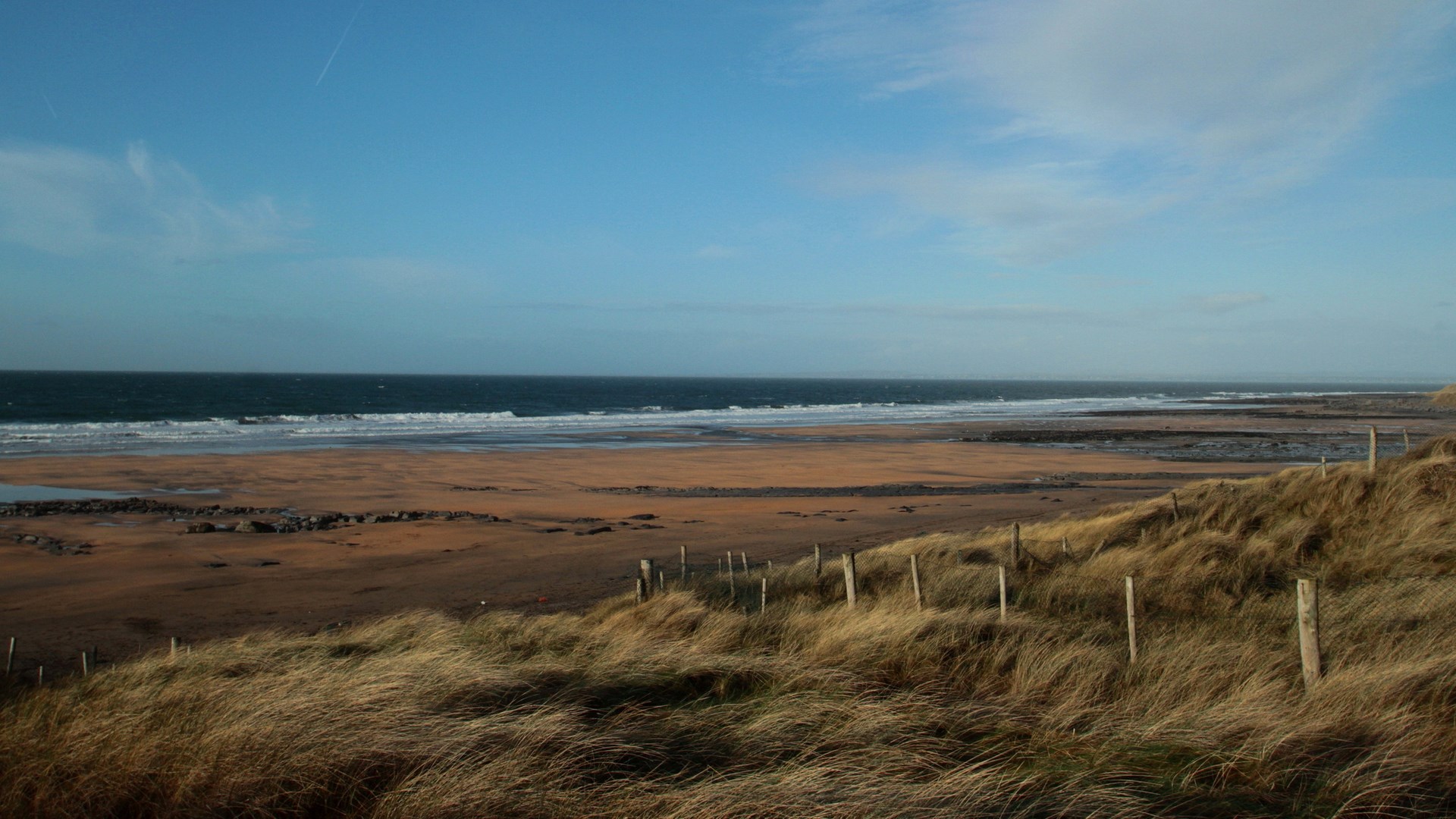 Beach with dunes and ocean under a blue sky HD Wallpaper