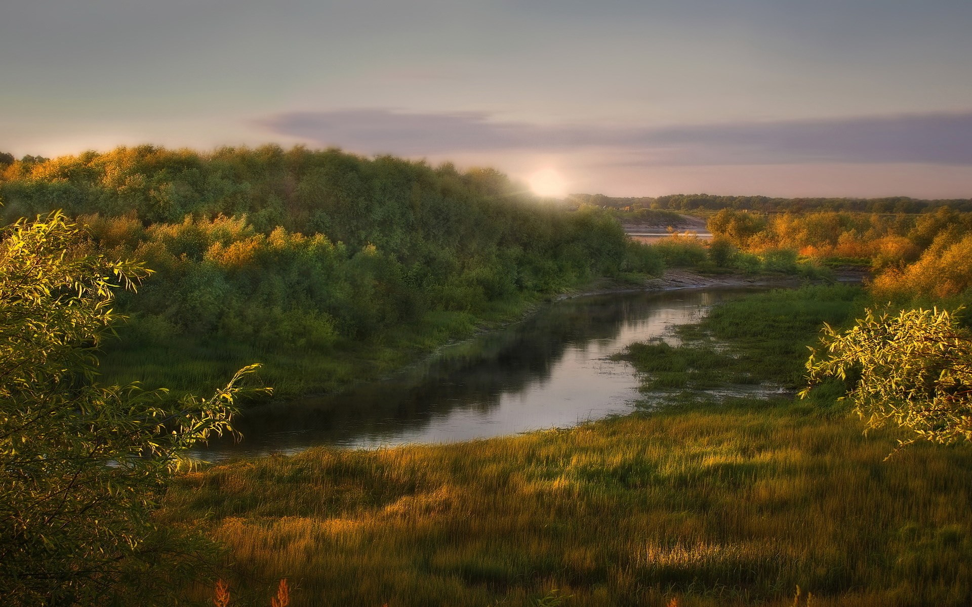 River flowing through a sunlit forest at dawn HD Wallpaper