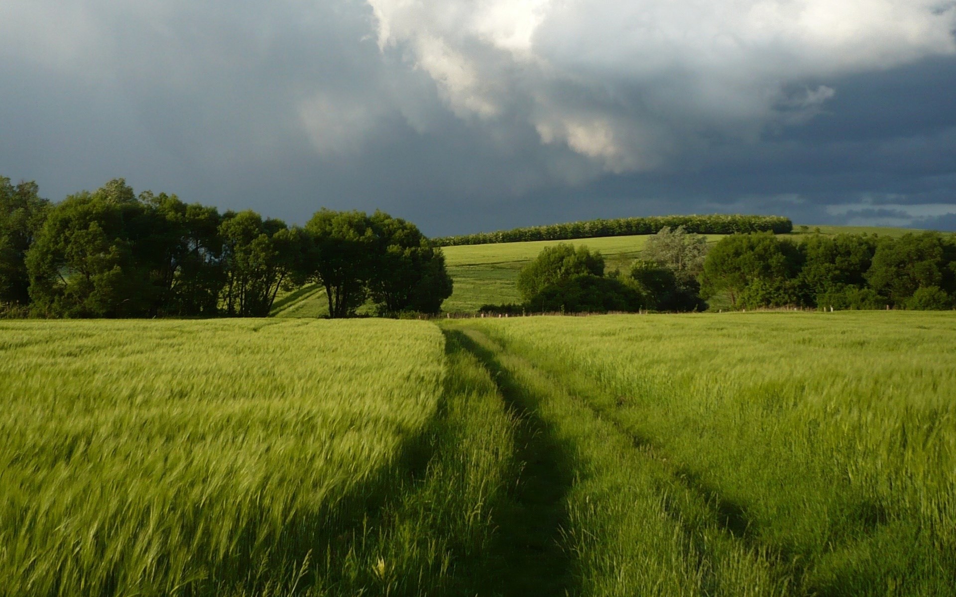 A dirt path through a green field under a stormy sky HD Wallpaper