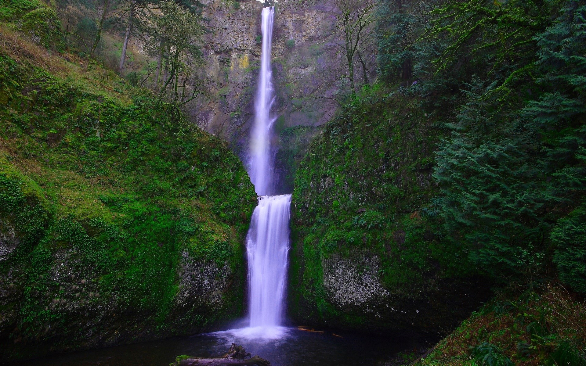 Multnomah Falls in Oregon HD Wallpaper