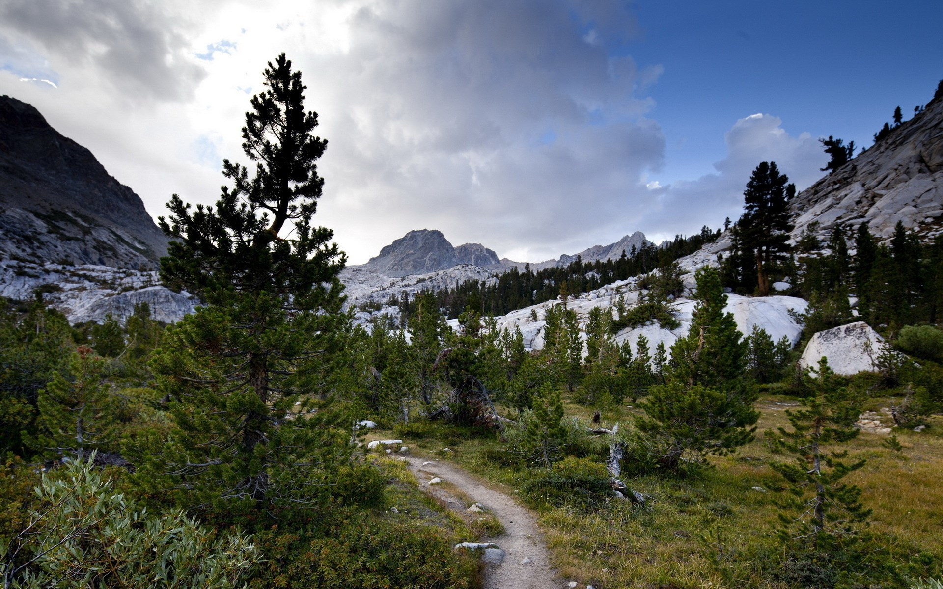 Mountain trail through pine trees and granite HD Wallpaper