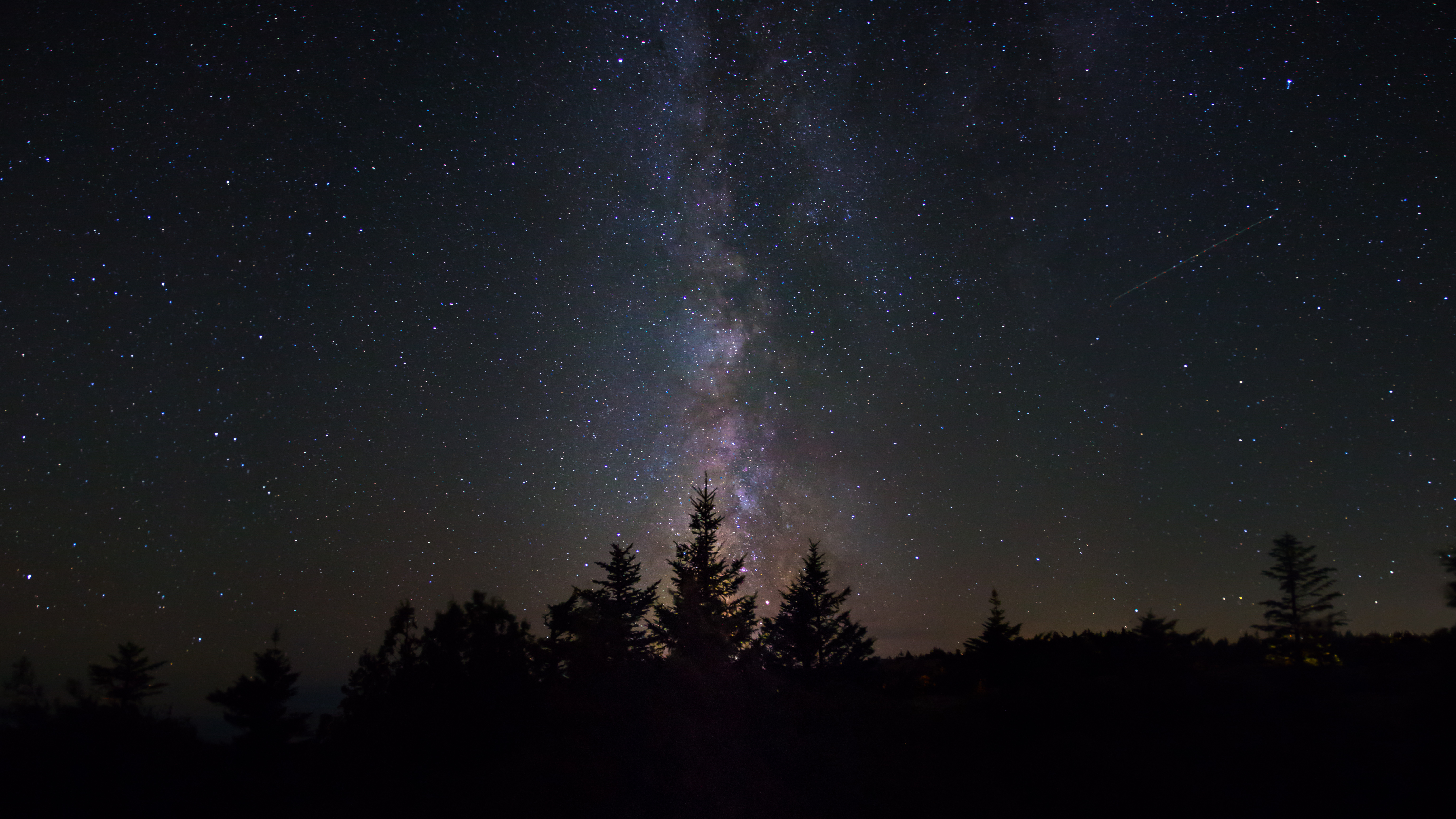 Milky Way over silhouetted trees HD Wallpaper