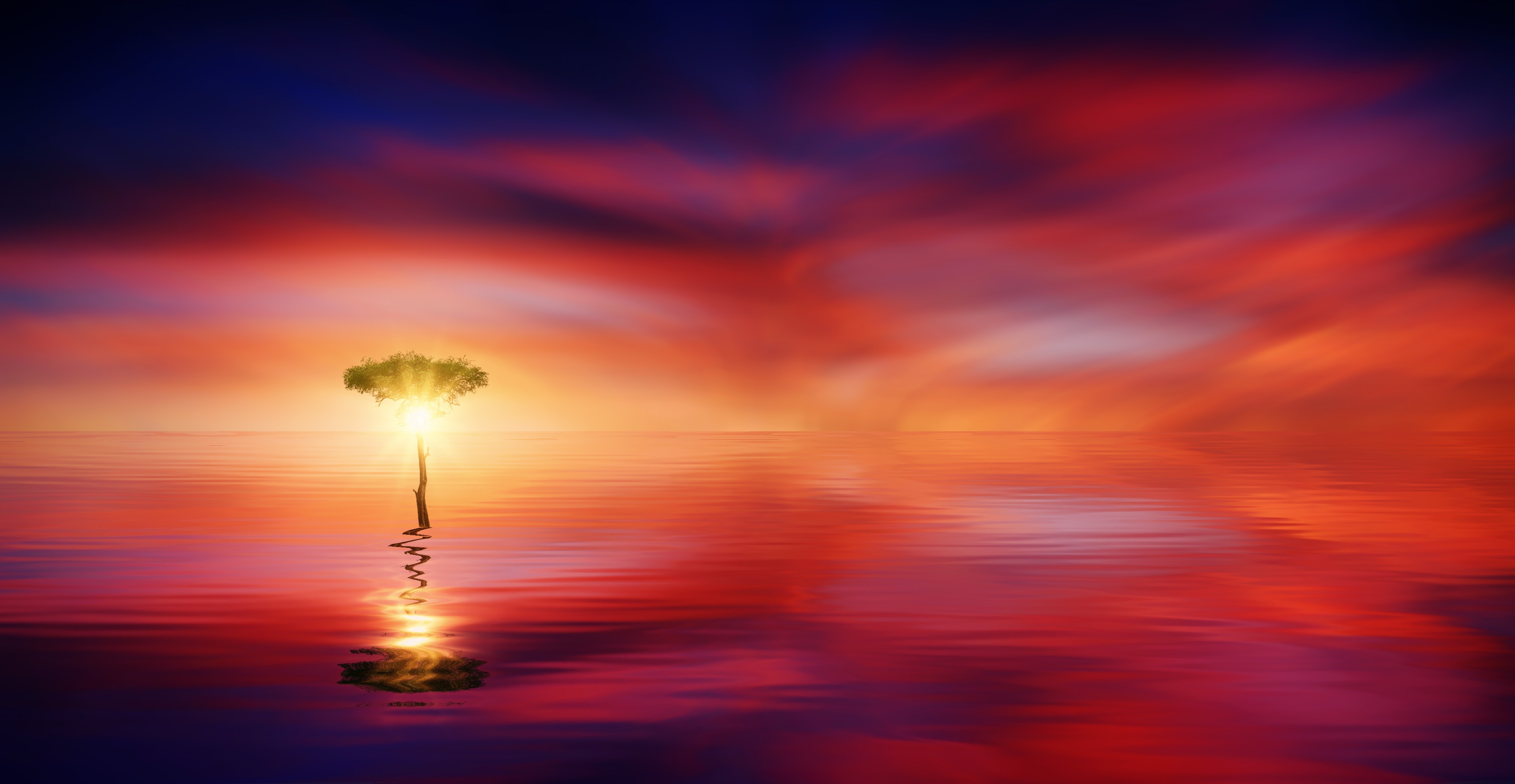 Tree in the ocean at sunset 4K HD Wallpaper