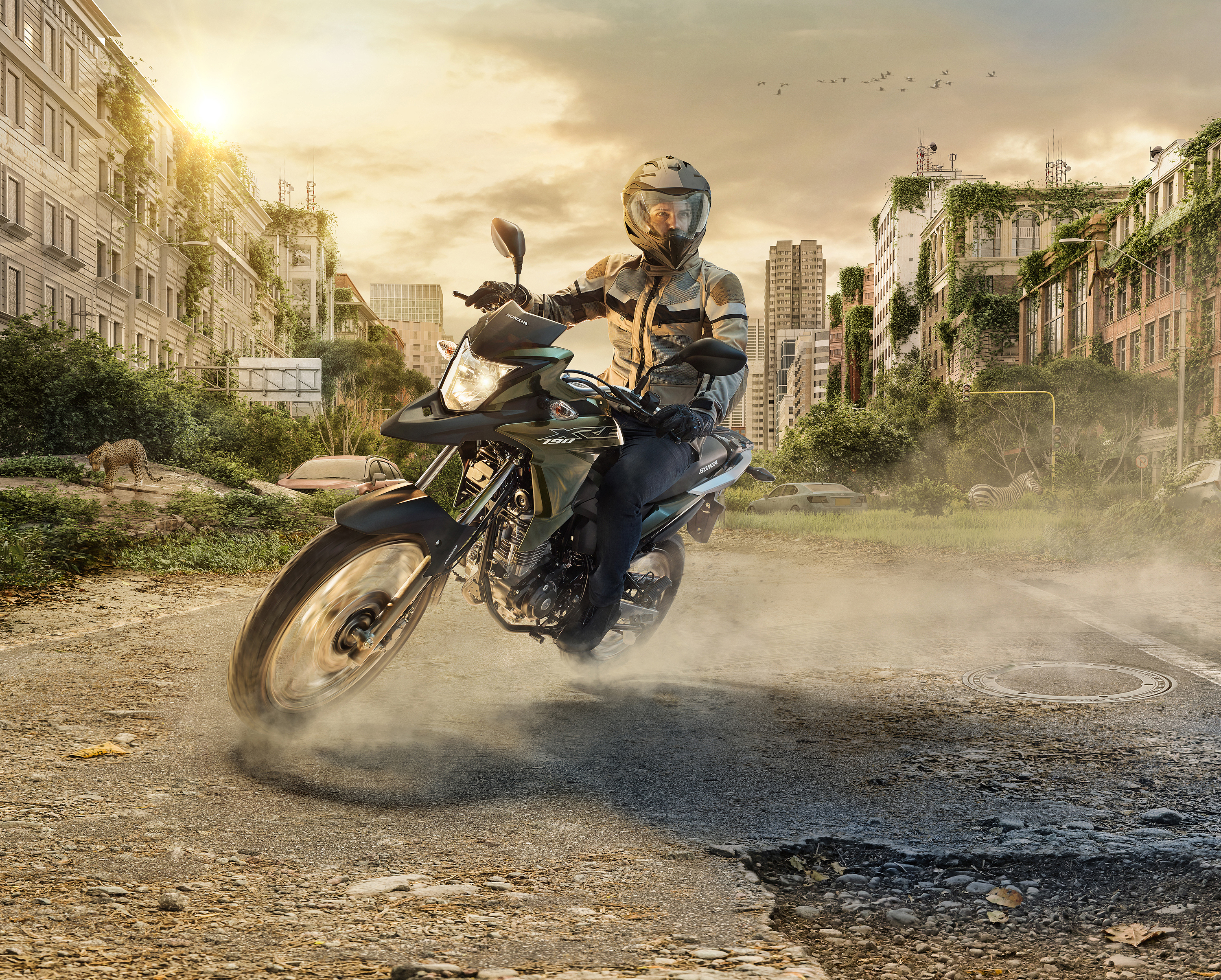 Honda motorcycle rider in a post-apocalyptic city HD Wallpaper