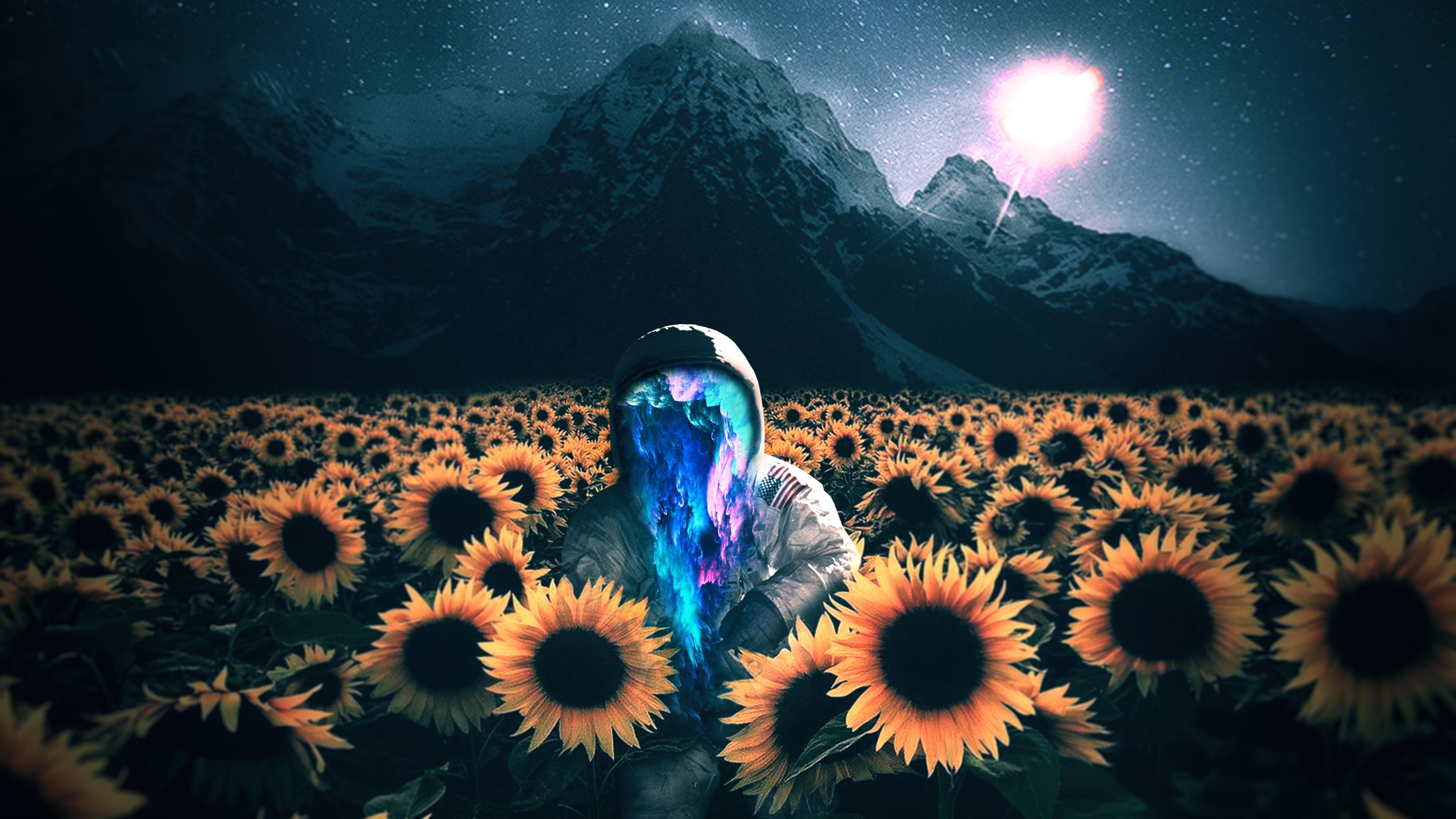 Astronaut in a sunflower field under starry sky HD Wallpaper