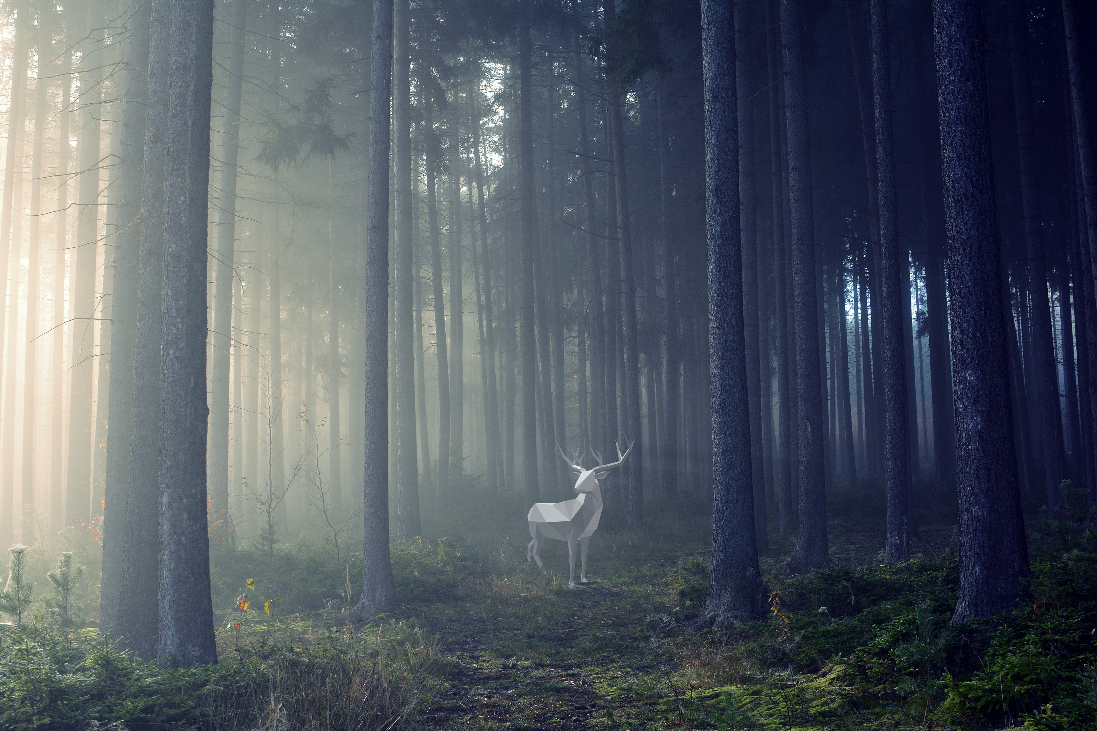 Digital art of a deer in a foggy forest HD Wallpaper