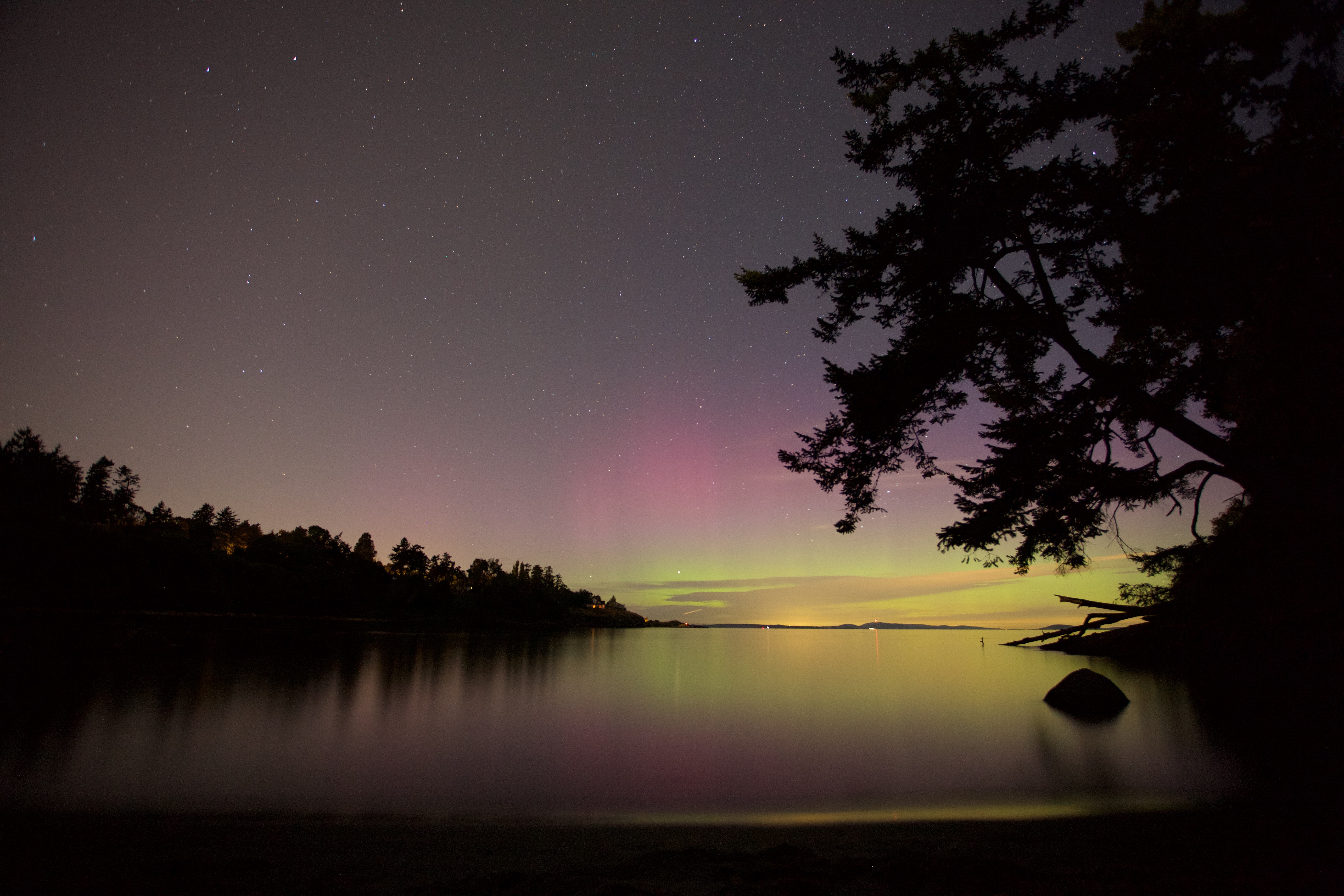Northern Lights over a lake with trees HD Wallpaper
