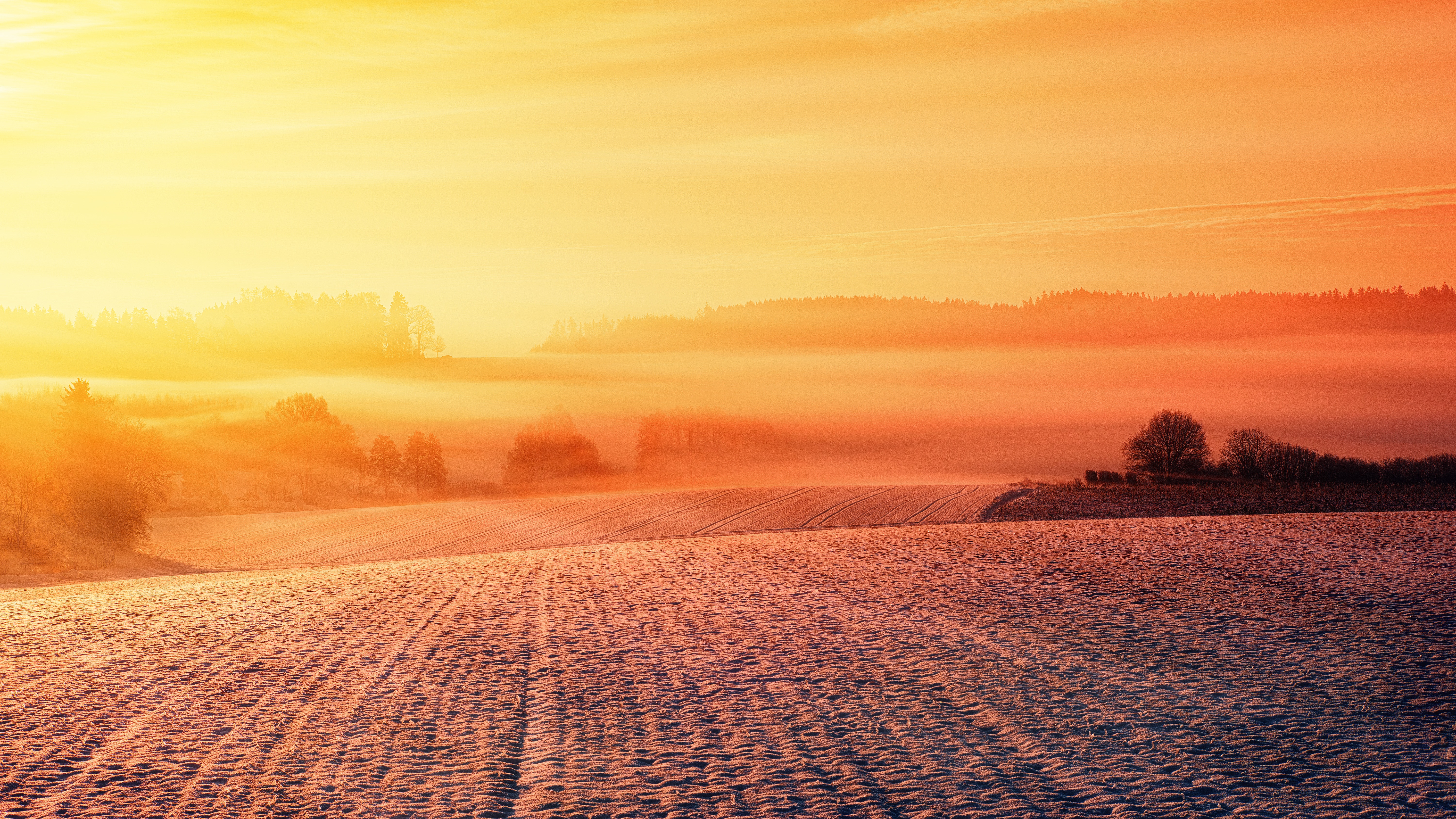 Sunrise over misty fields and forests HD Wallpaper