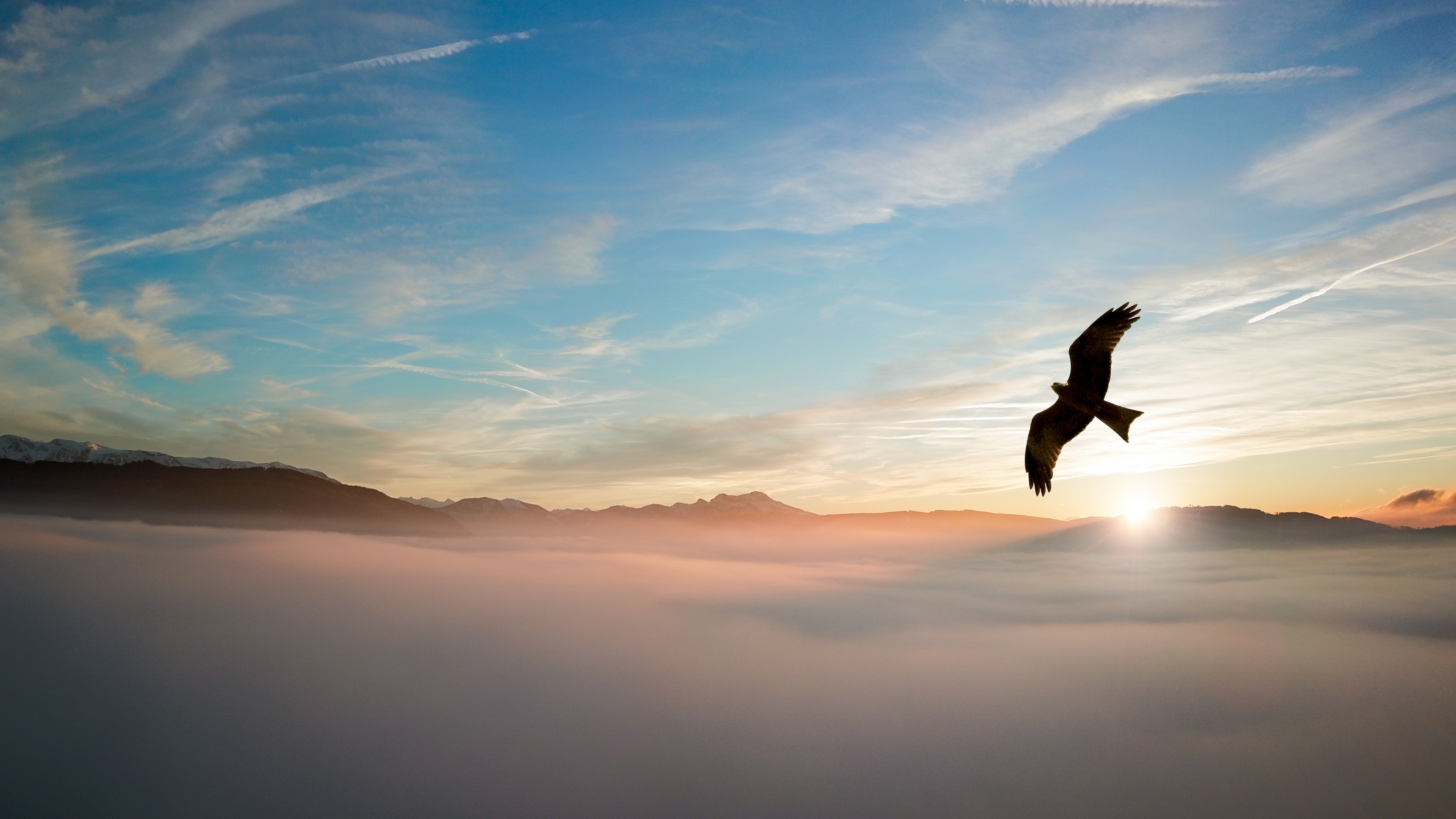 Eagle flying over clouds at sunset 4K HD Wallpaper