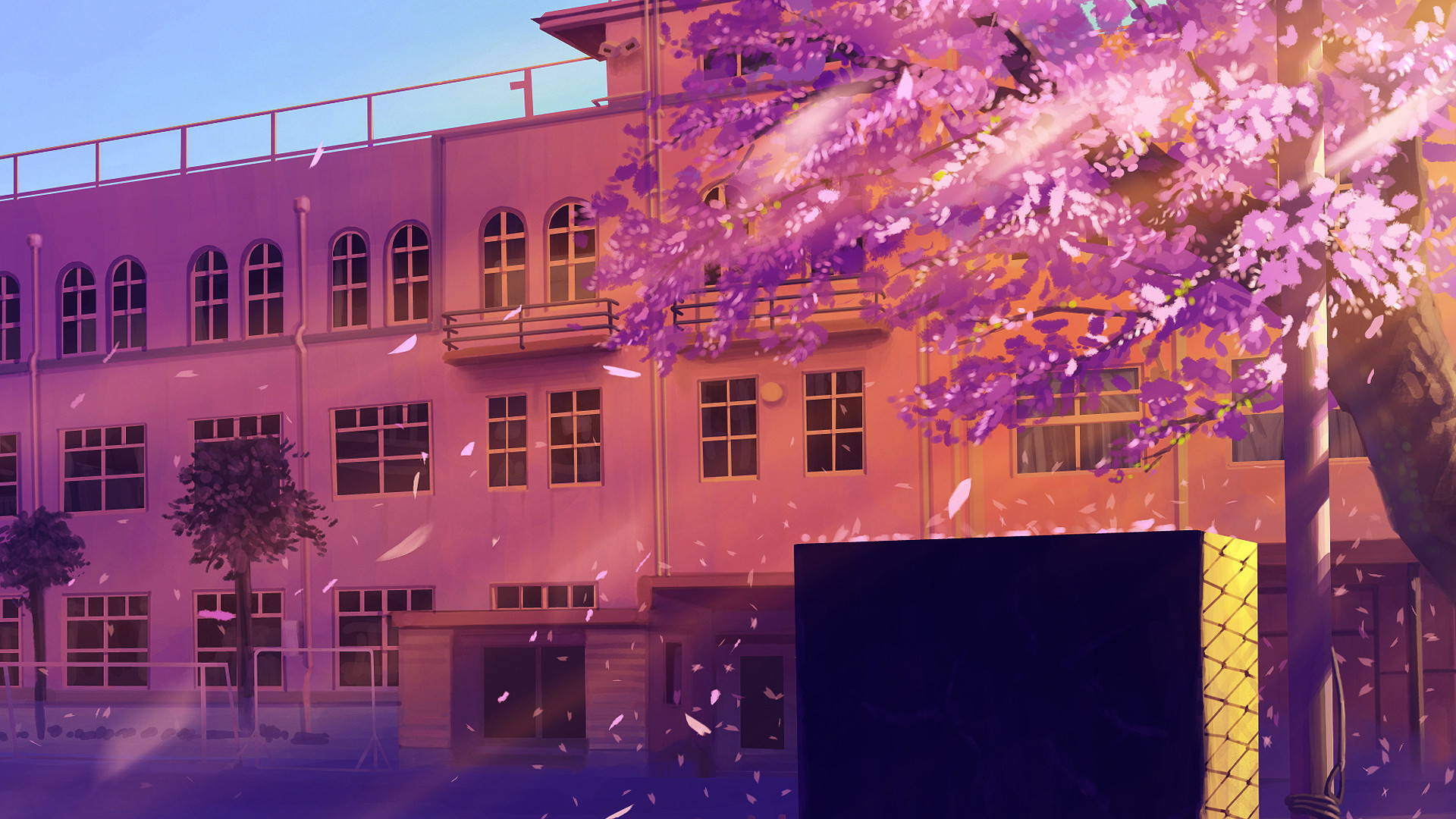 Anime school building with cherry blossoms HD Wallpaper