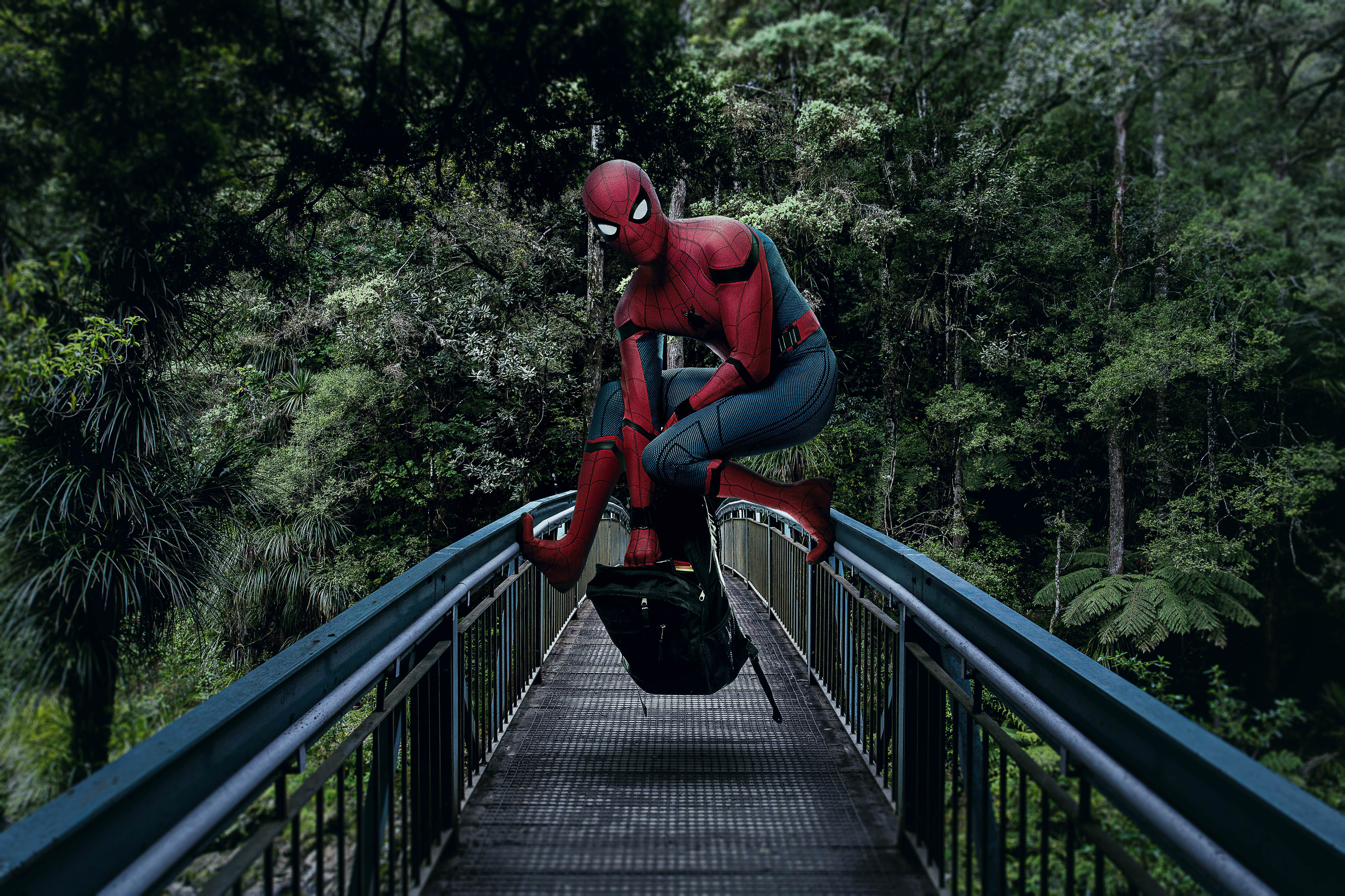 Spiderman crouches on a bridge in a forest HD Wallpaper
