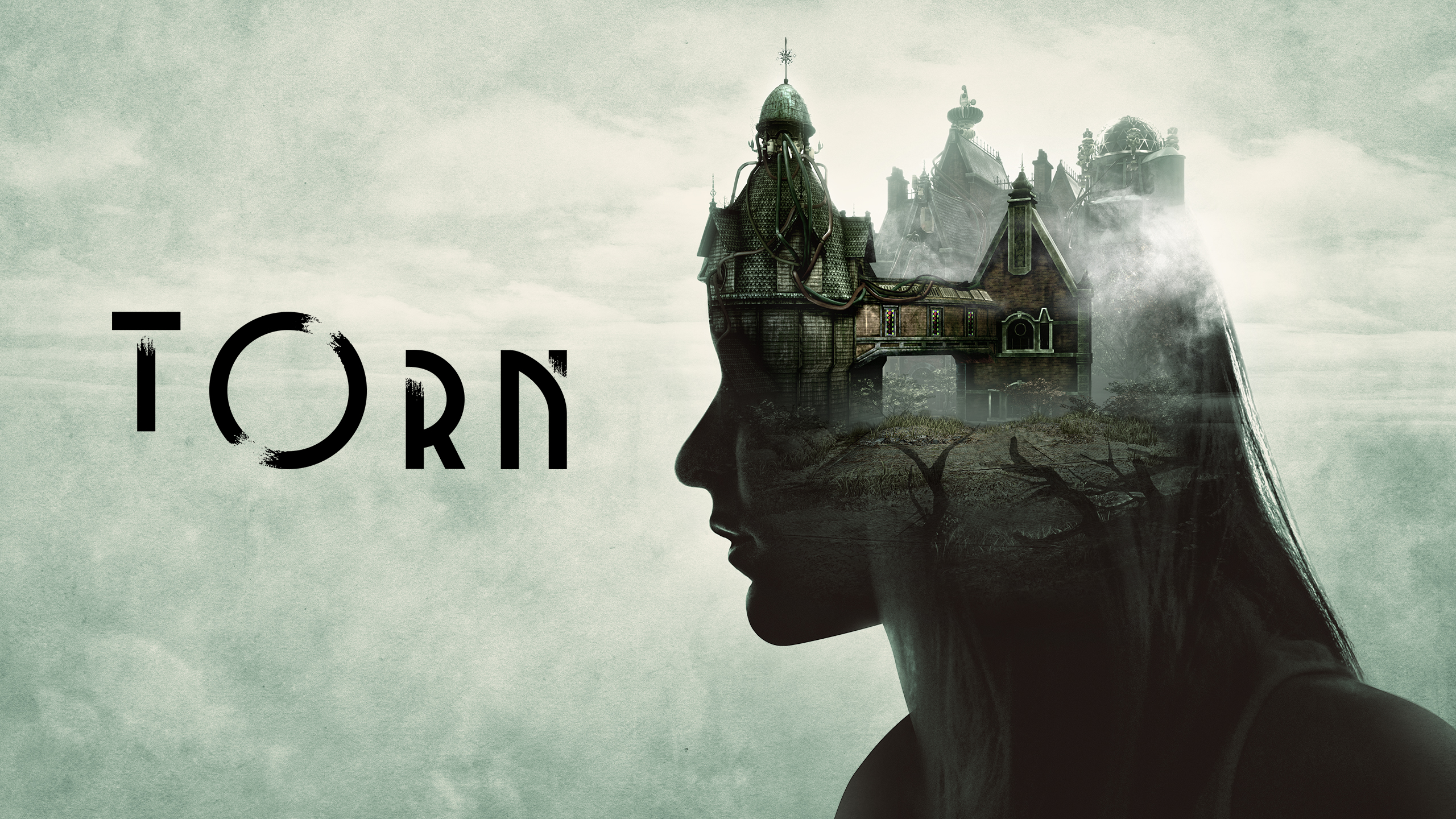 Torn Video Game HD Wallpaper