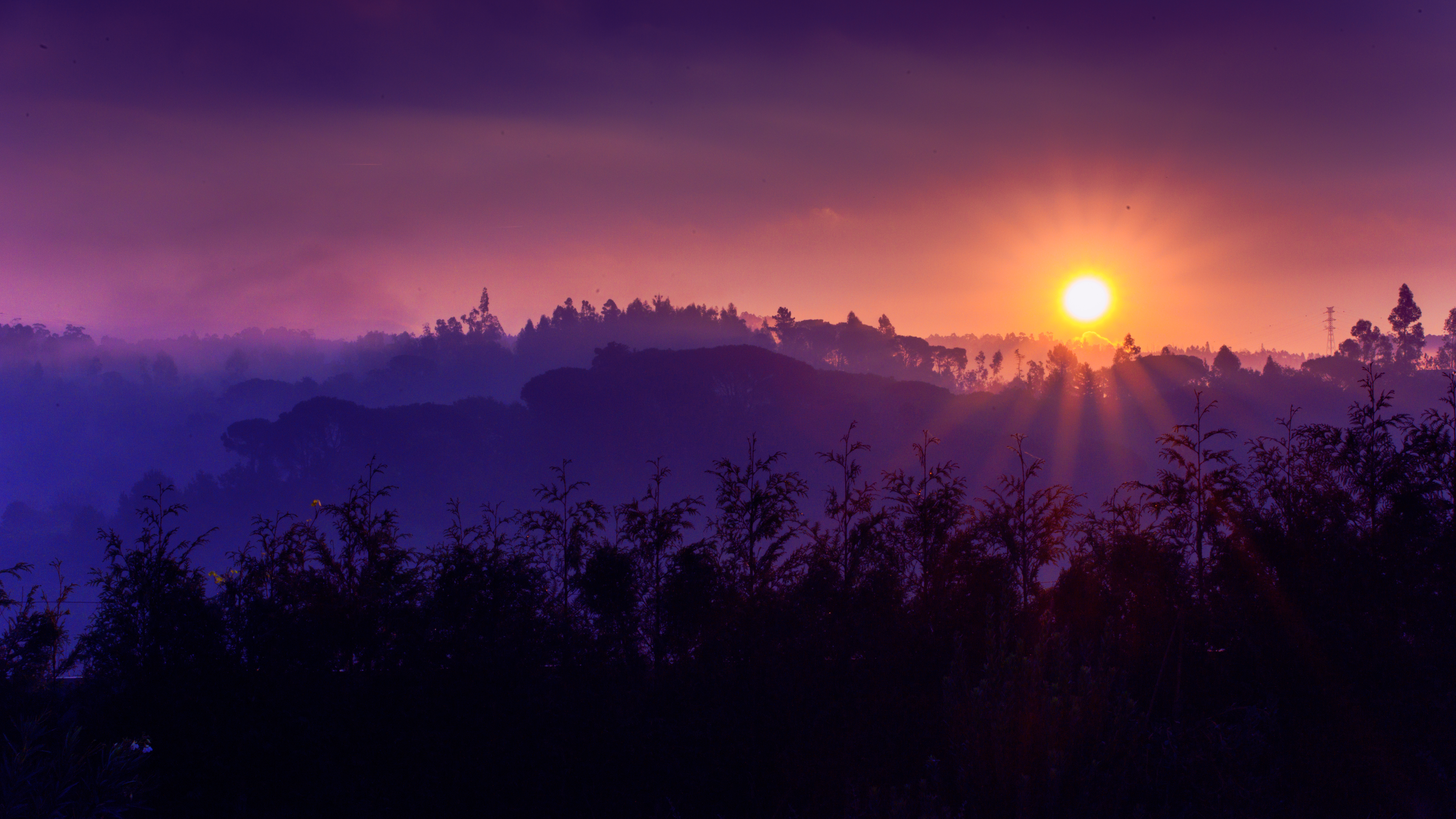 Sunrise over misty hills with silhouetted trees HD Wallpaper