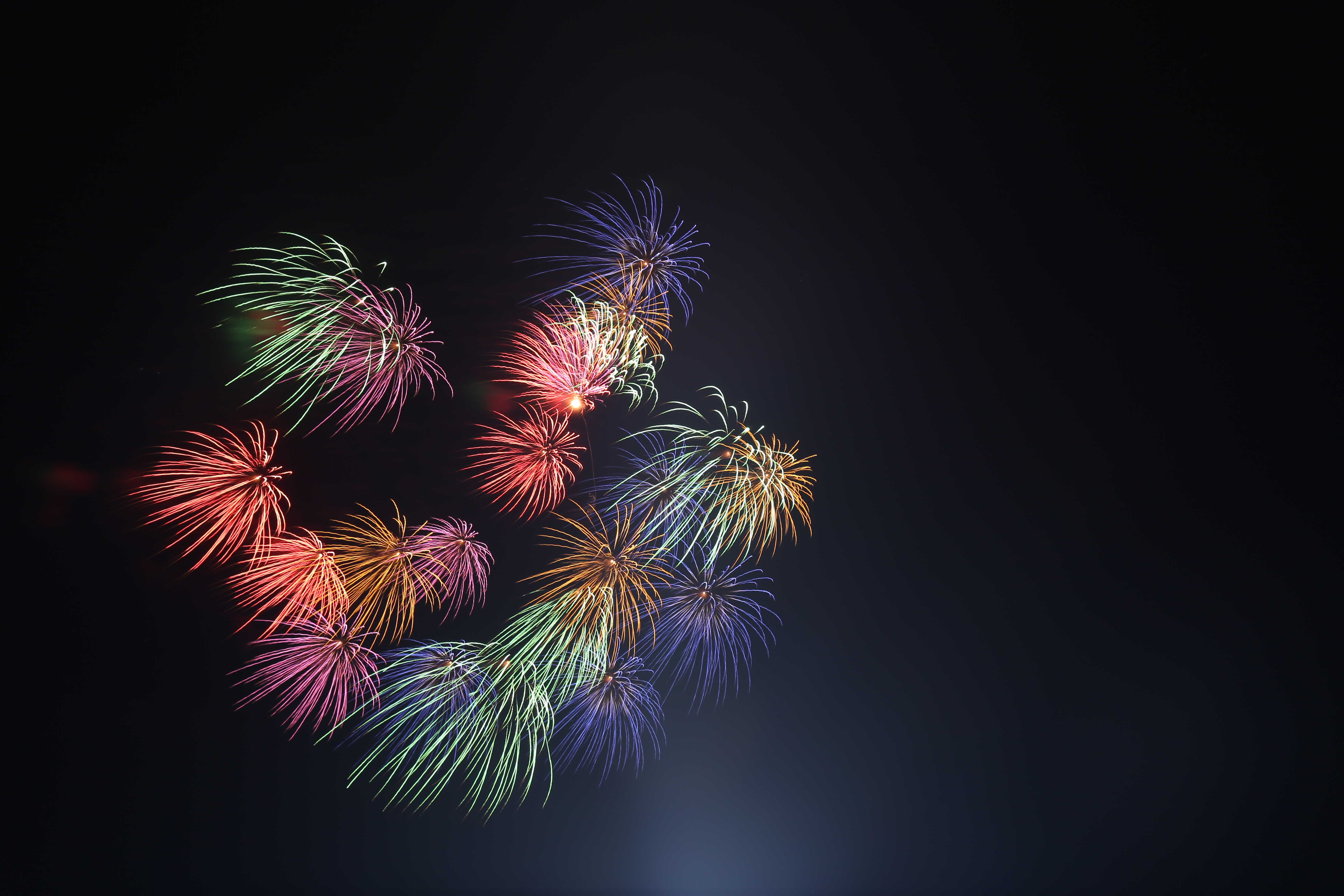 Colorful fireworks exploding in the night sky HD Wallpaper