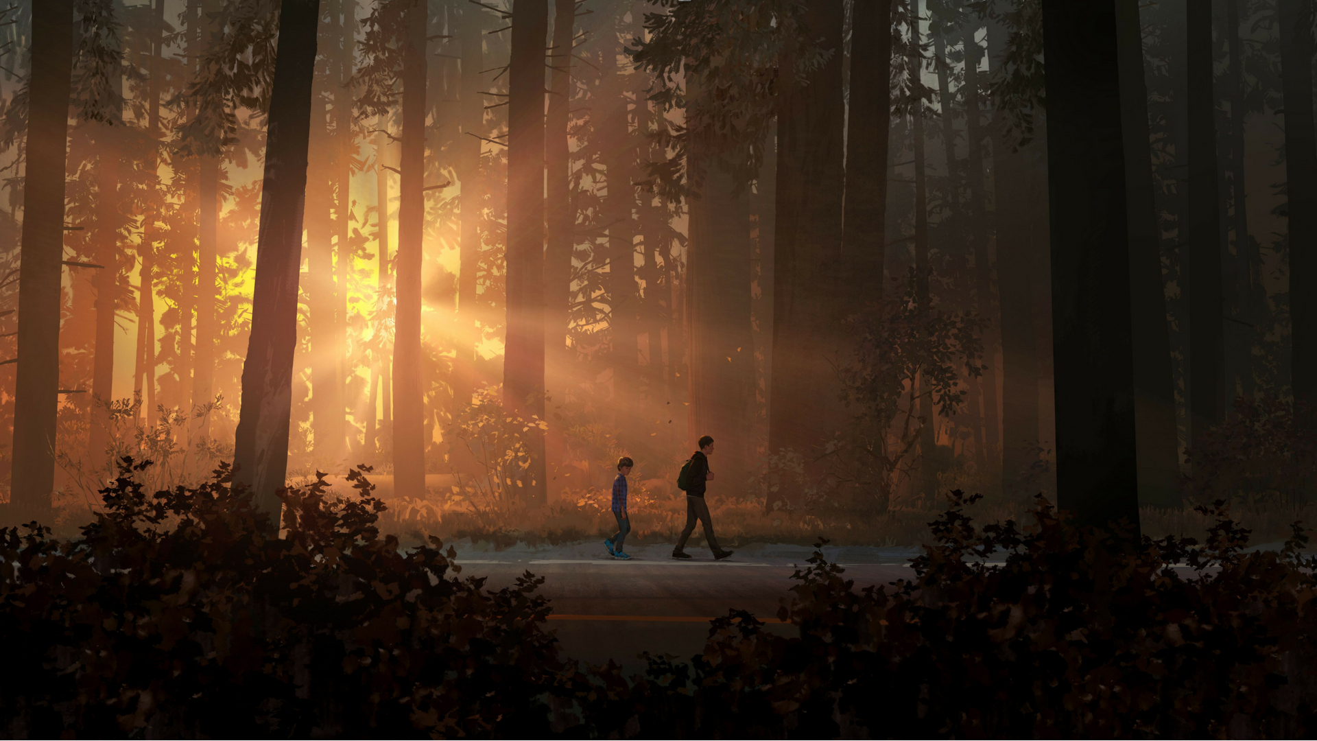 Life is Strange 2: Two boys walk on a road in a forest HD Wallpaper