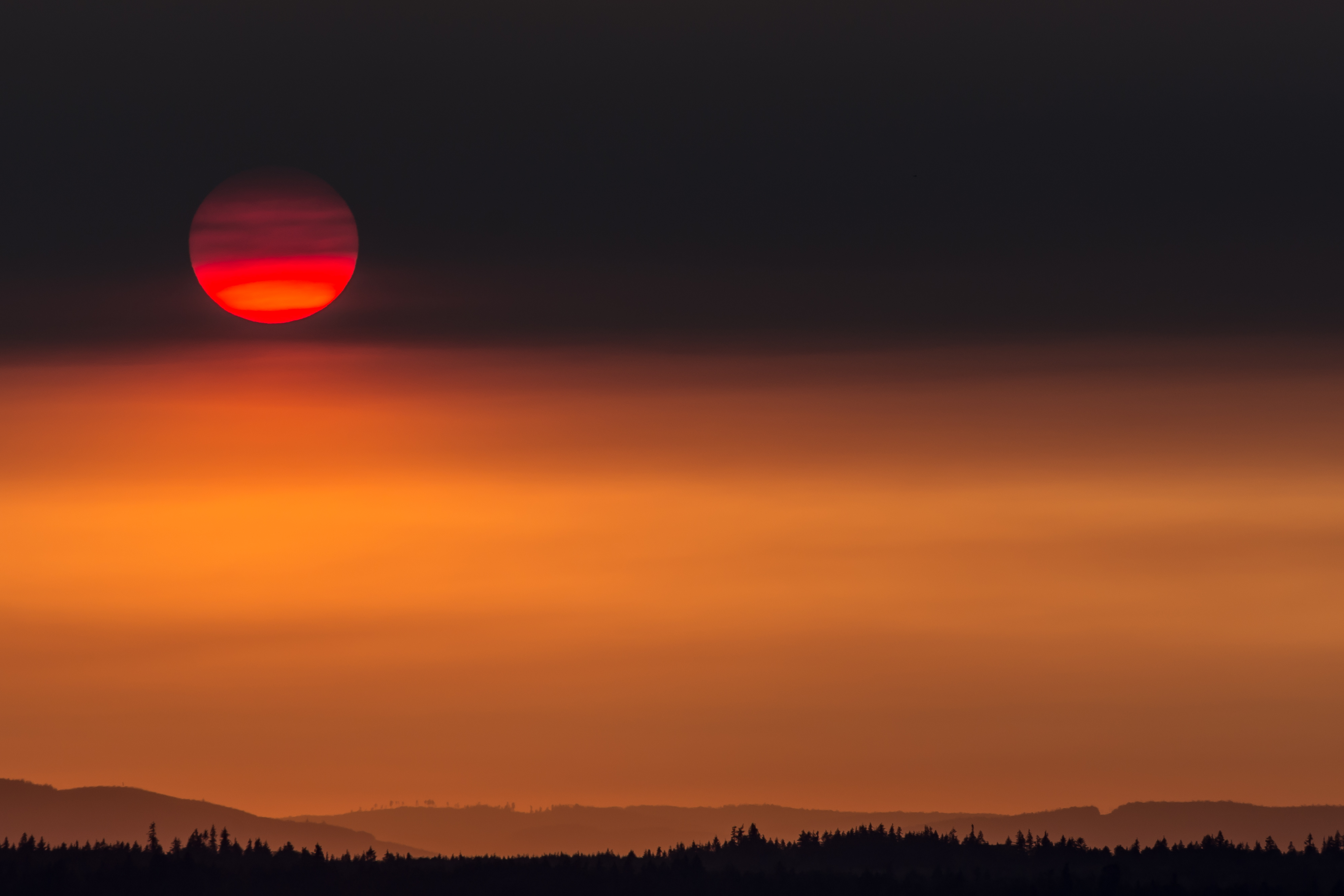 Sunset over a forest silhouette 4K HD Wallpaper