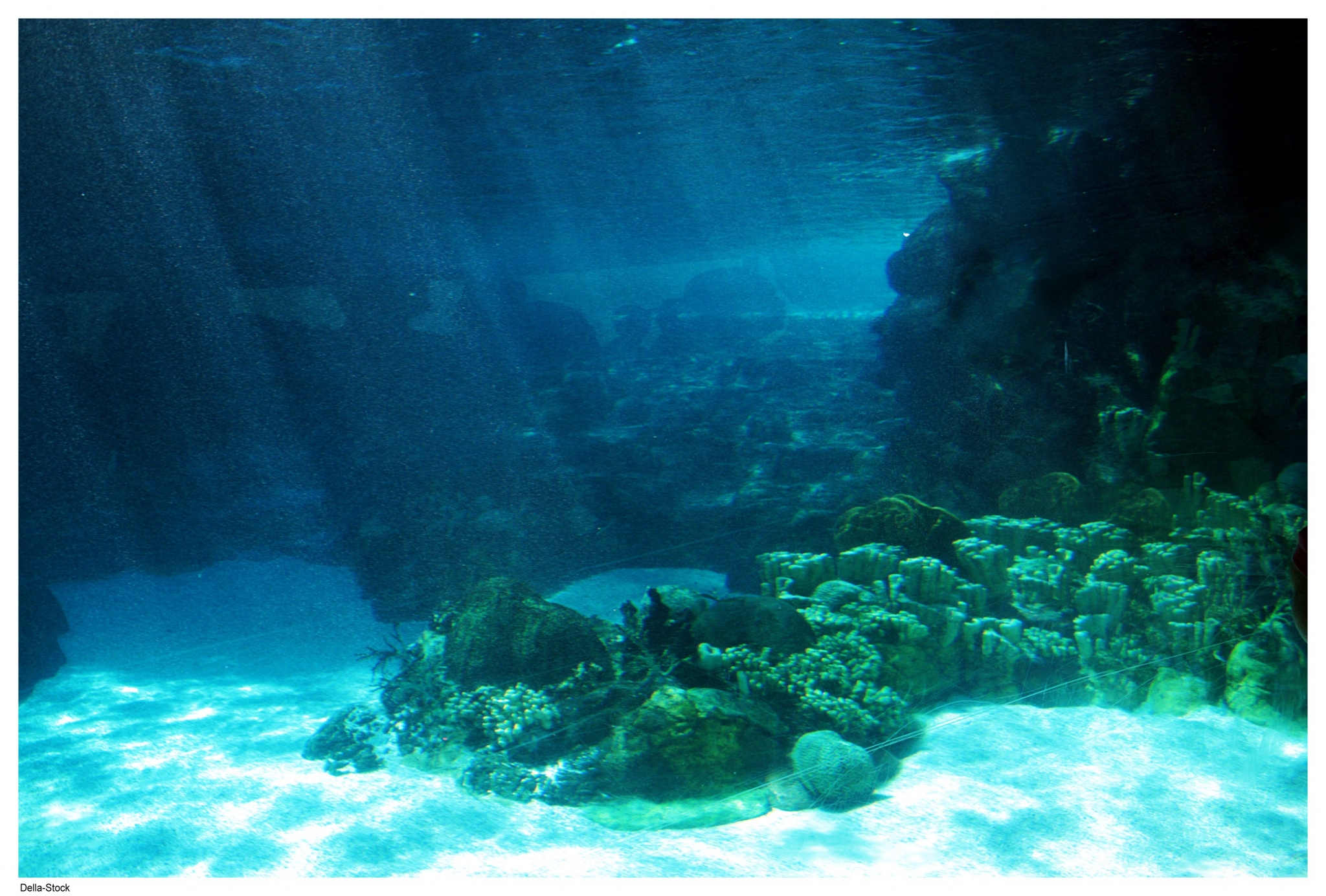 Underwater coral reef with sunbeams HD Wallpaper