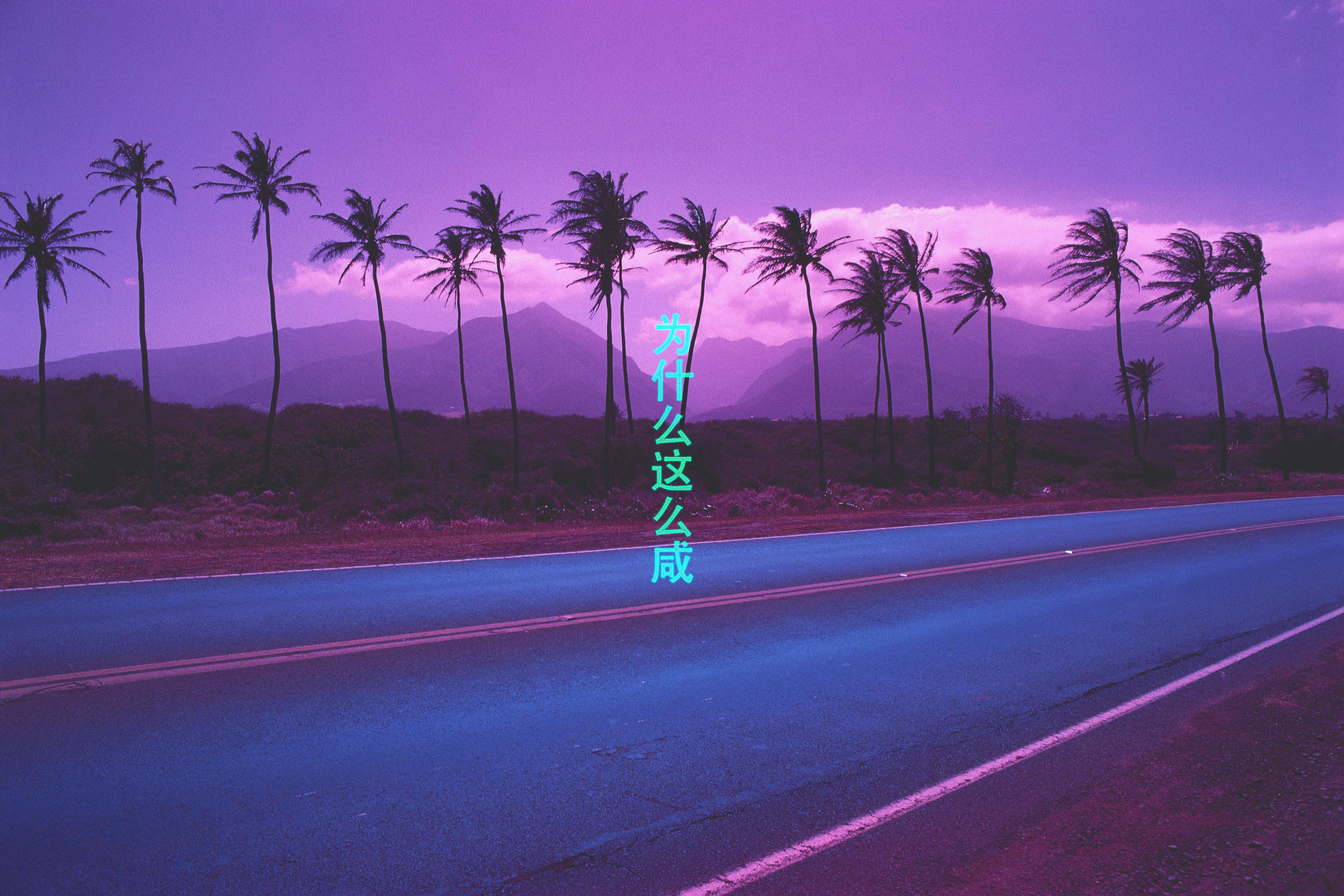Neon Palm Trees and Road 4K HD Wallpaper