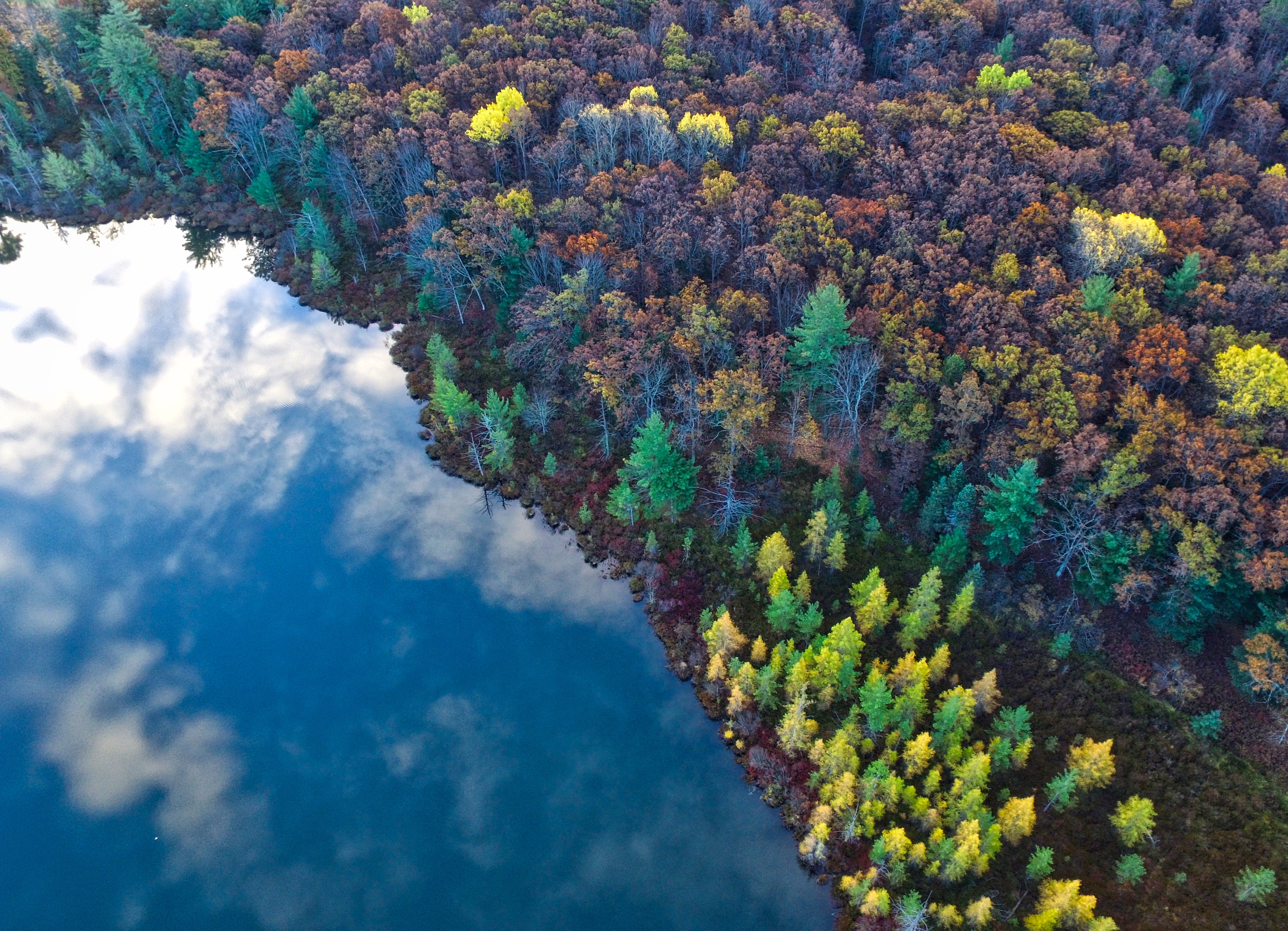 Aerial view of a lake and autumn forest HD Wallpaper