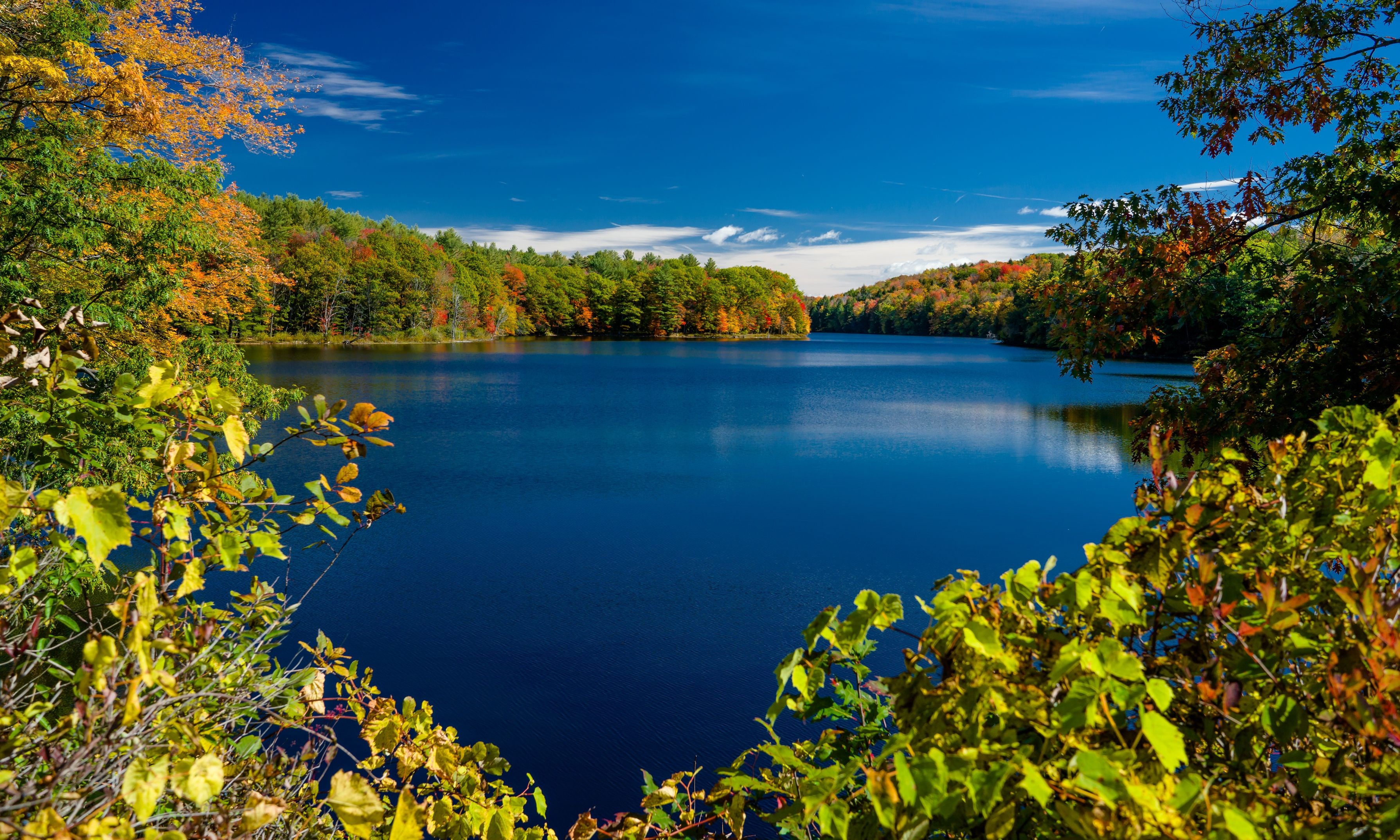 Lake surrounded by autumn trees under a blue sky HD Wallpaper