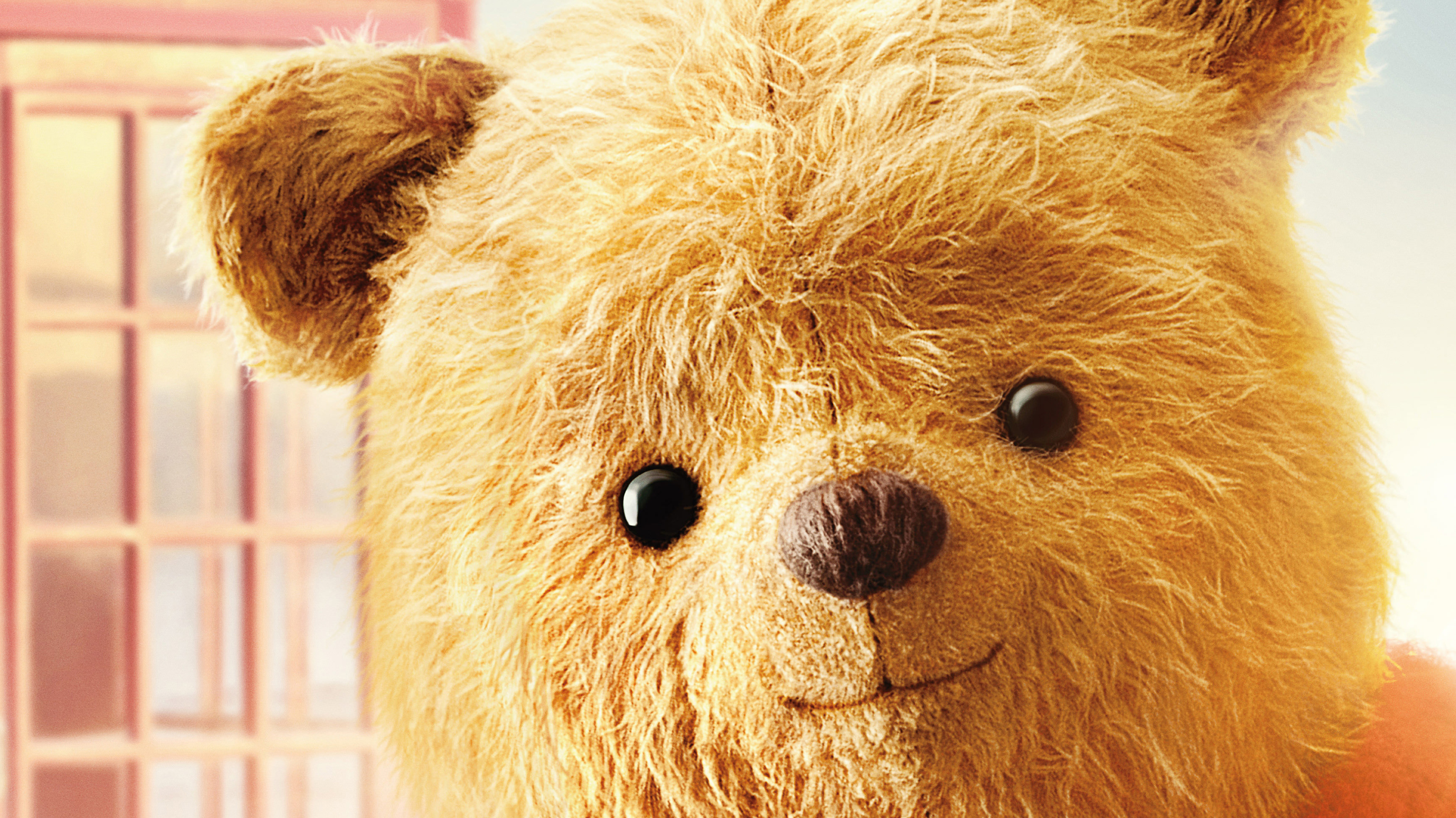 Winnie the Pooh 4K HD Wallpaper