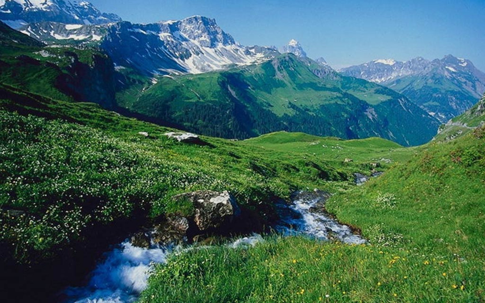 Green mountain valley with stream and snow-capped peaks HD Wallpaper