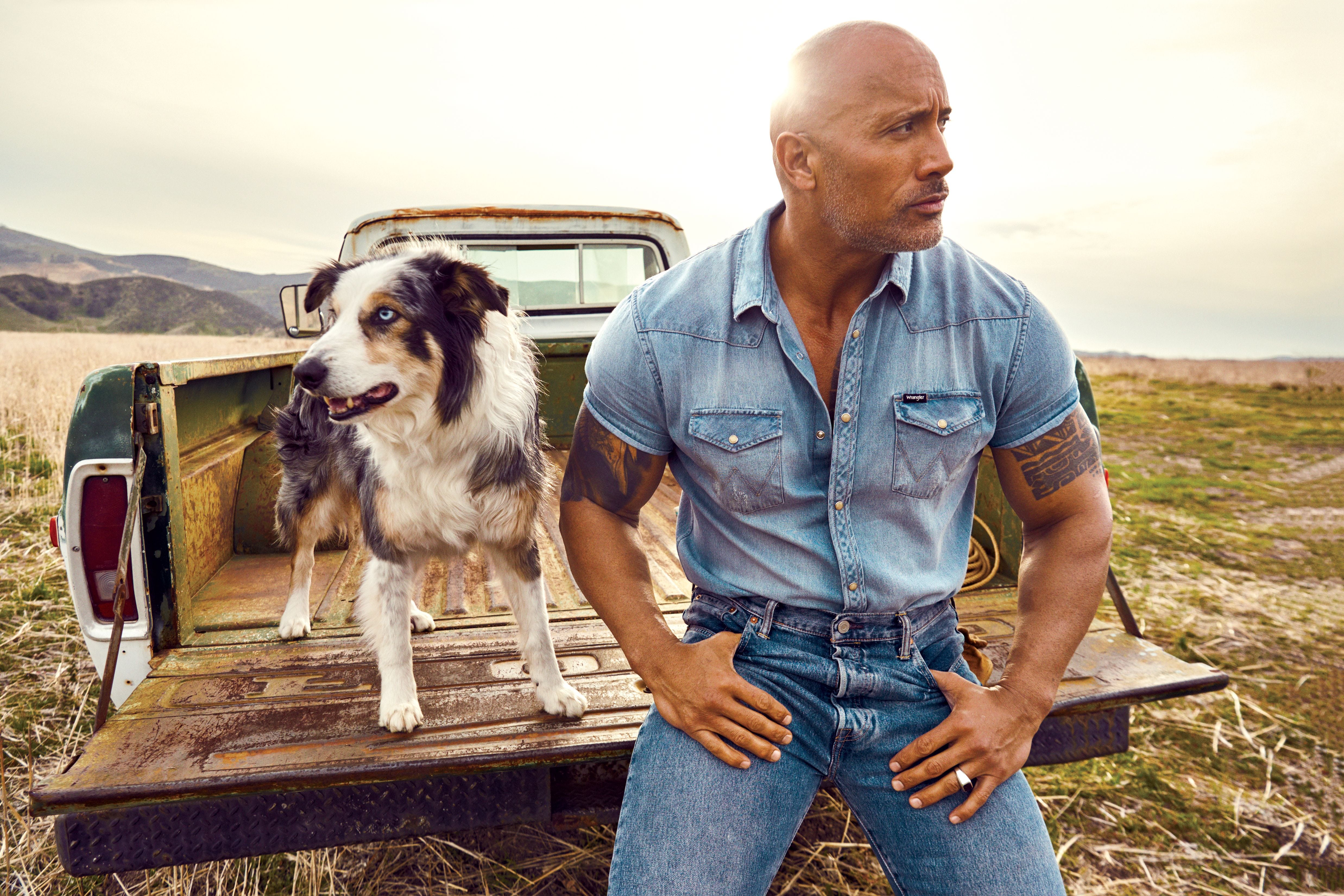 Dwayne Johnson and dog in a pickup truck HD Wallpaper