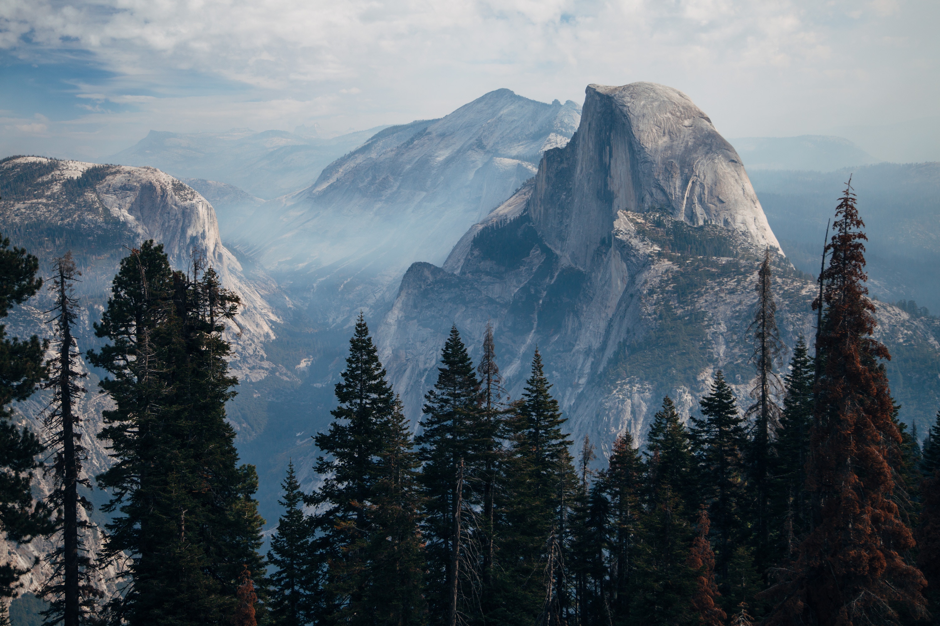Half Dome and Yosemite Valley with Pine Trees HD Wallpaper