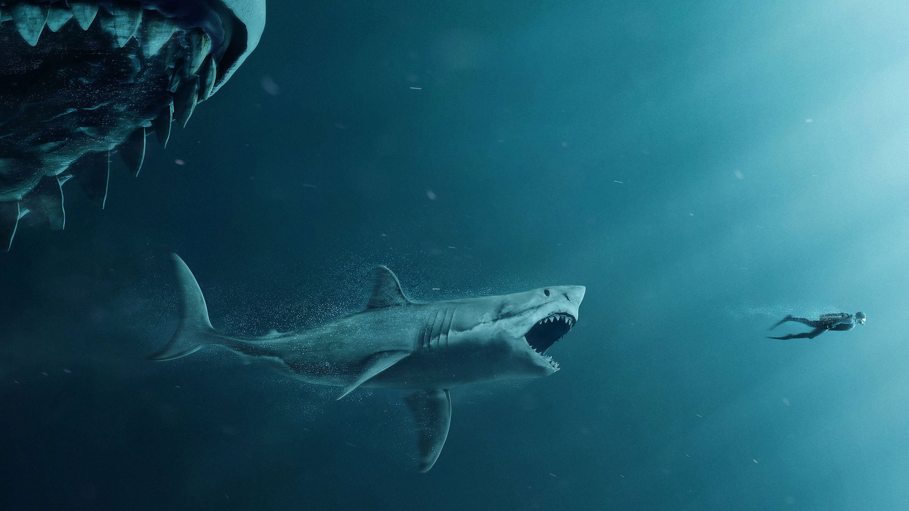 The Meg 4K HD Wallpaper