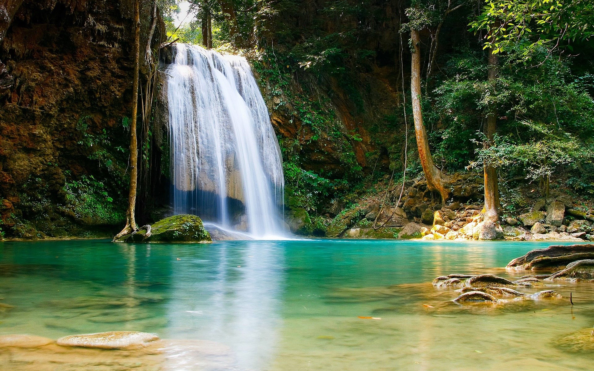 Waterfall cascading into a turquoise pool in a lush forest HD Wallpaper