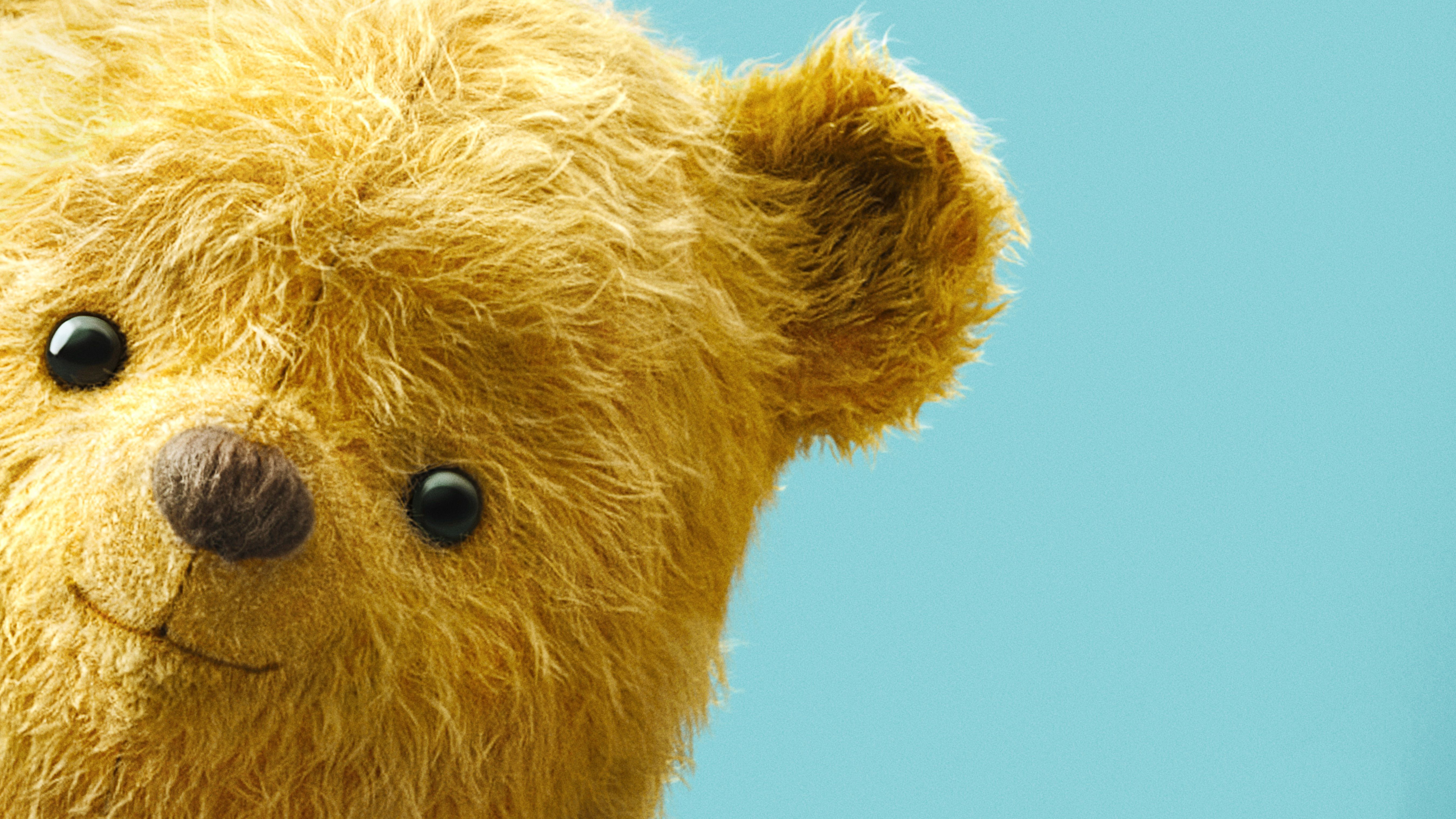 Winnie the Pooh 4K HD Wallpaper