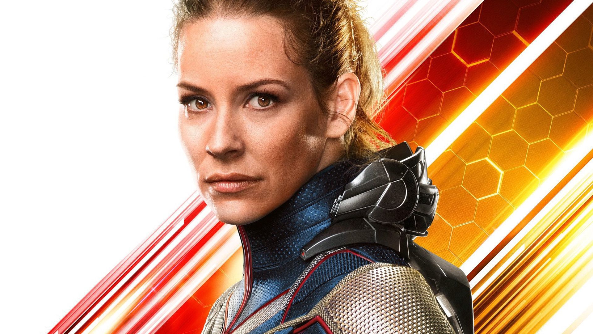 The Wasp from Ant-Man and the Wasp HD Wallpaper