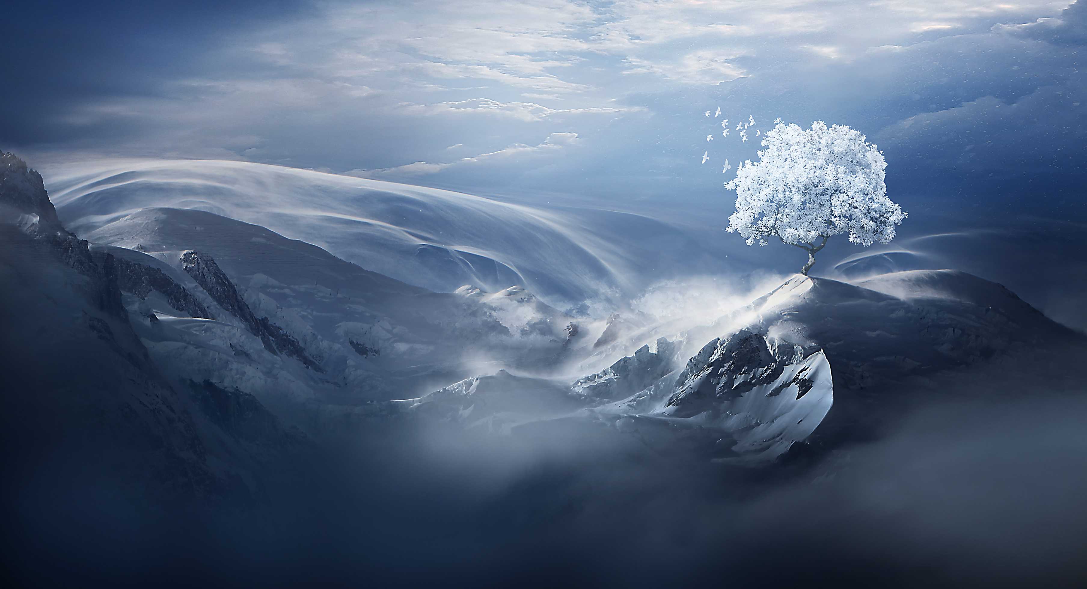 Snowy tree on a mountain peak with birds HD Wallpaper