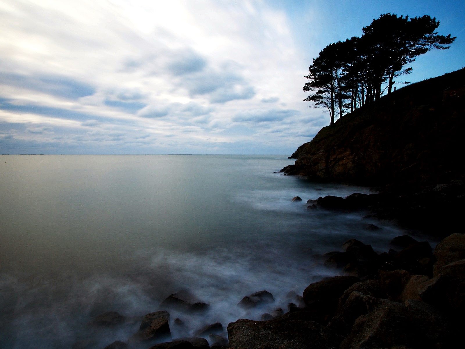 Trees on a rocky coastline with the sea HD Wallpaper