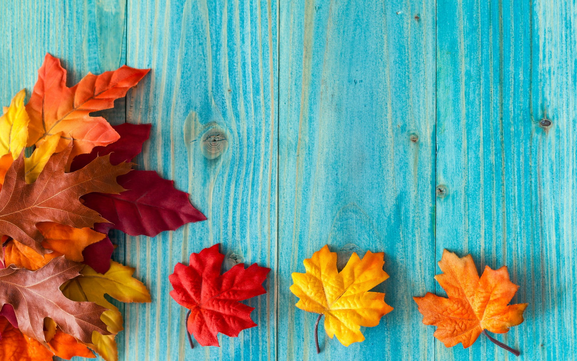 Autumn leaves on a blue wooden surface HD Wallpaper