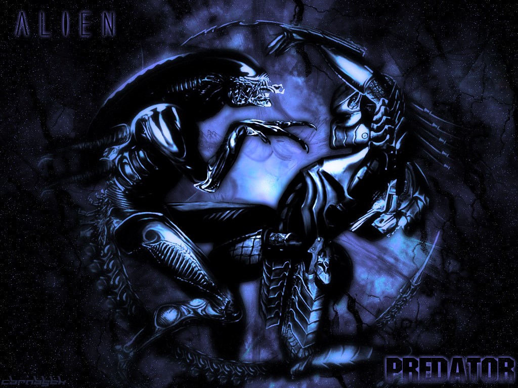Alien vs Predator HD Wallpaper