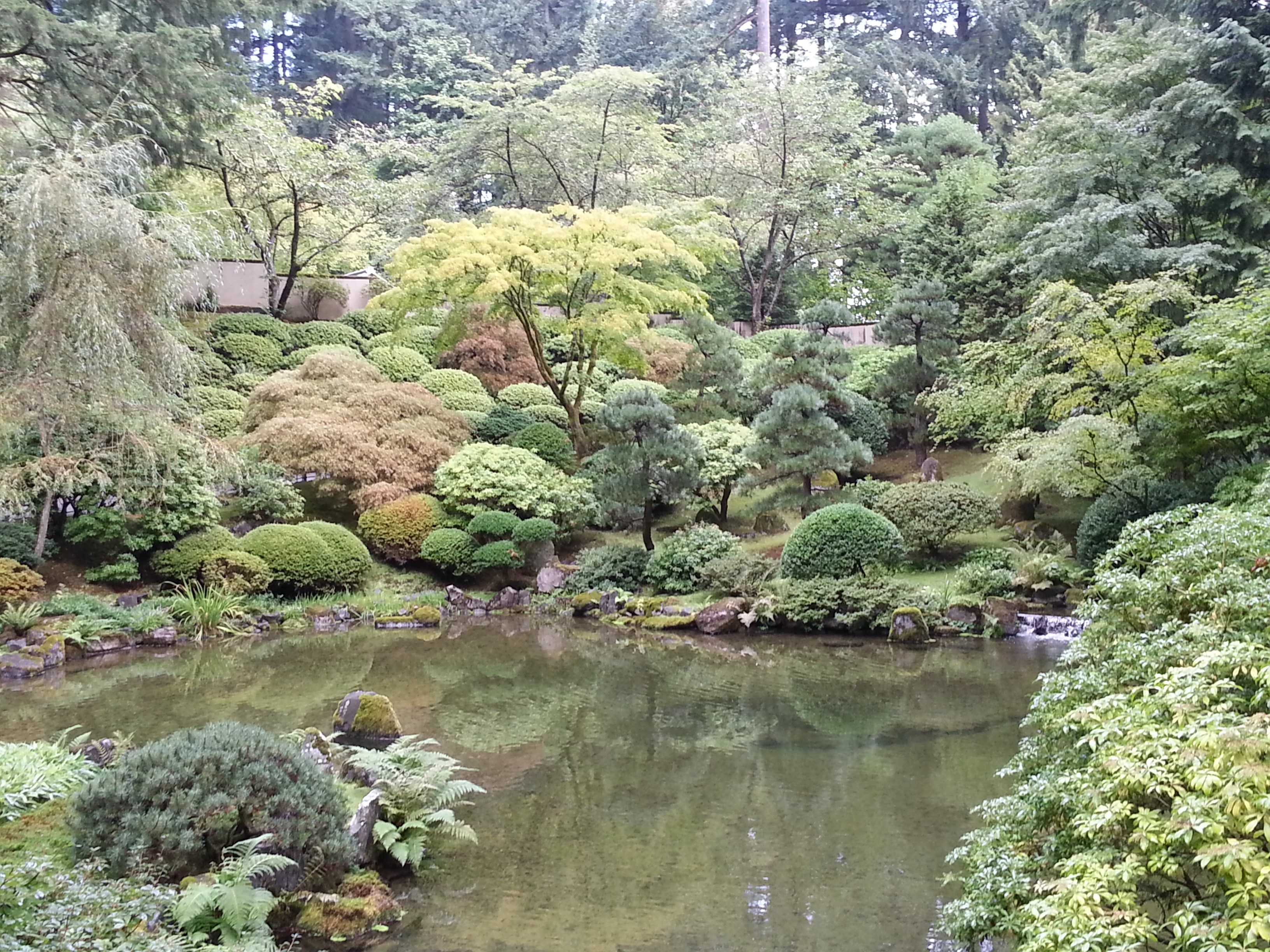 Japanese garden with a pond and lush trees HD Wallpaper