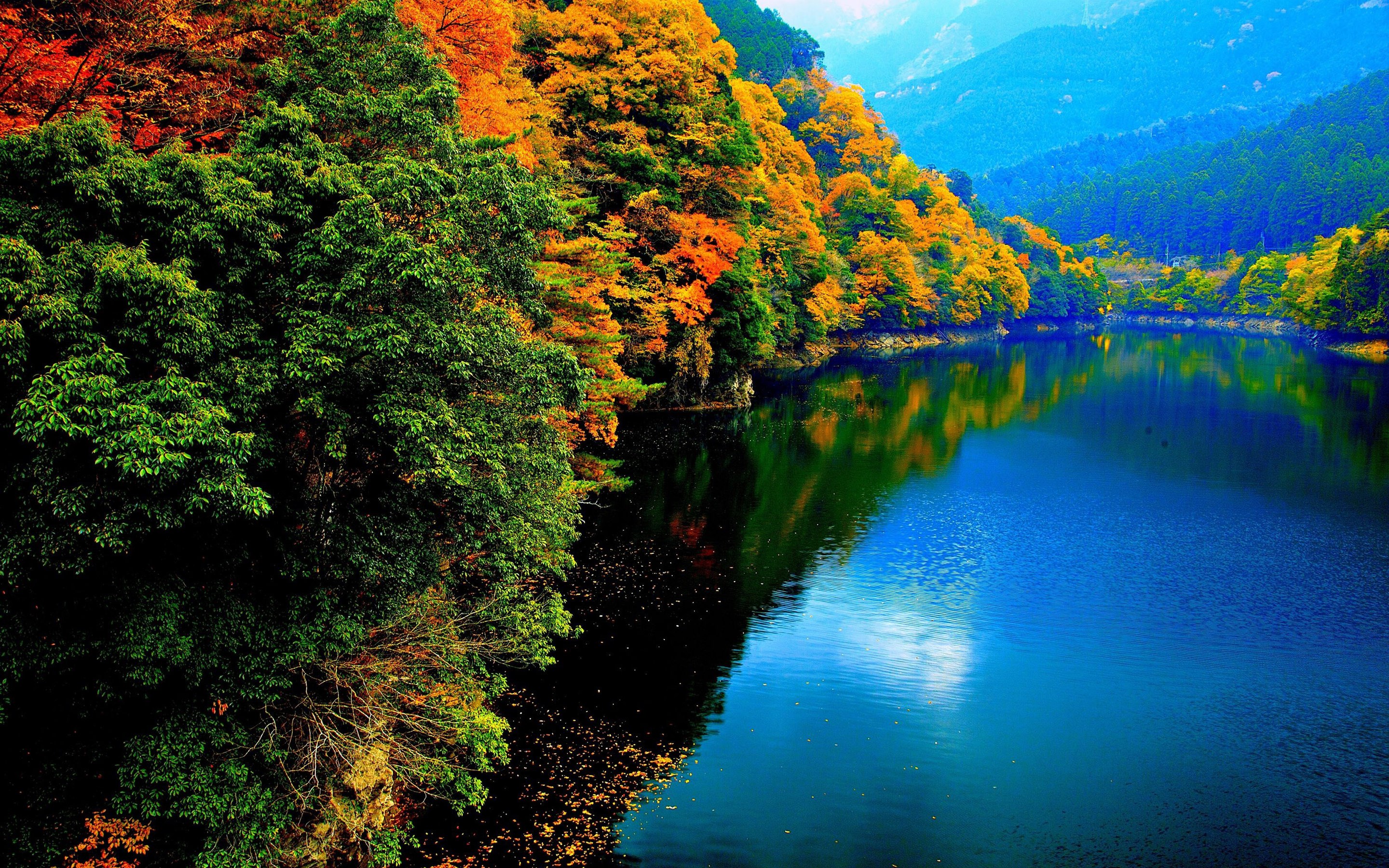 Autumn trees reflecting in a lake HD Wallpaper