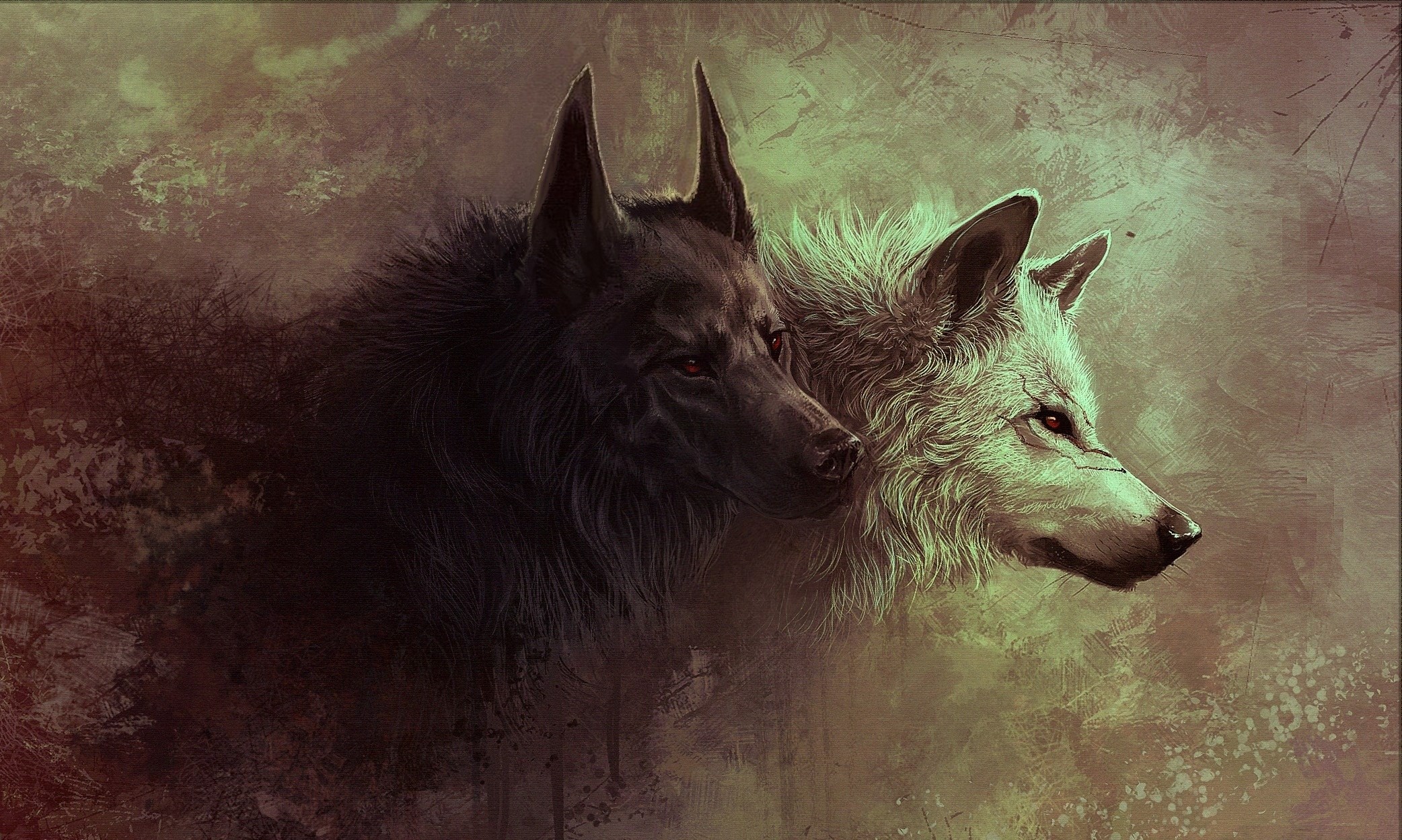 Two wolves, one black and one white, in a dark forest HD Wallpaper