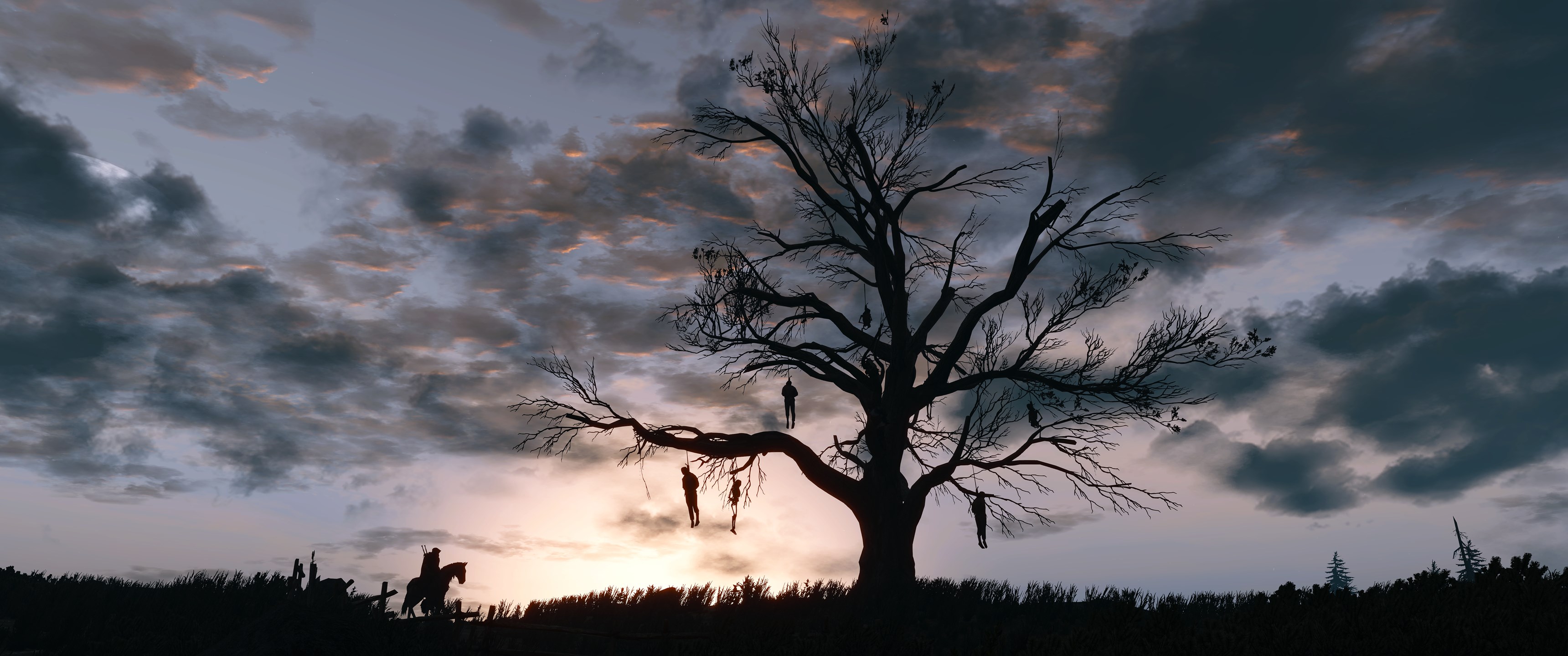 The Witcher 3: Wild Hunt - Hangman's Tree HD Wallpaper