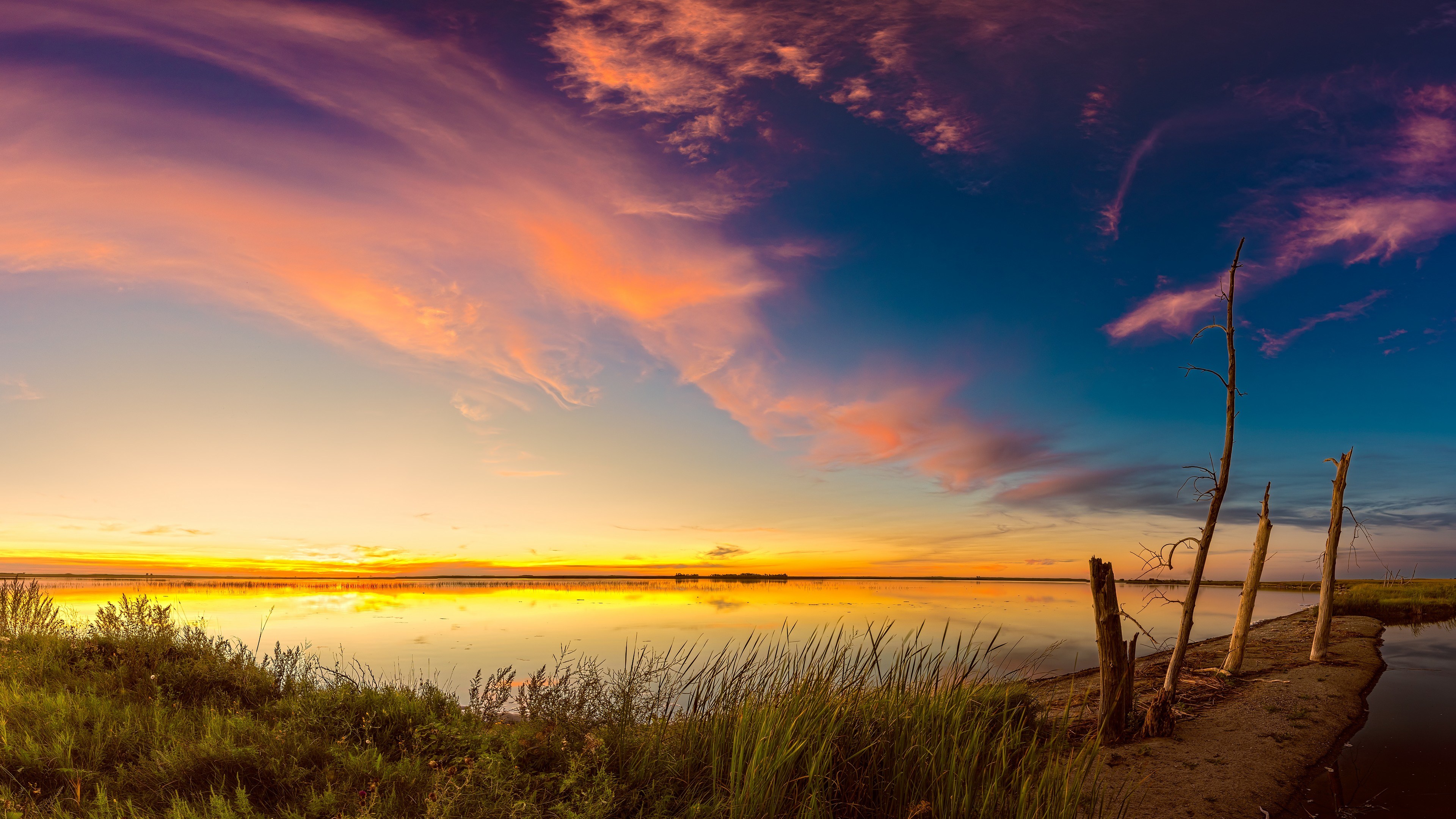 4K Sunset Over Calm Water with Dead Trees HD Wallpaper
