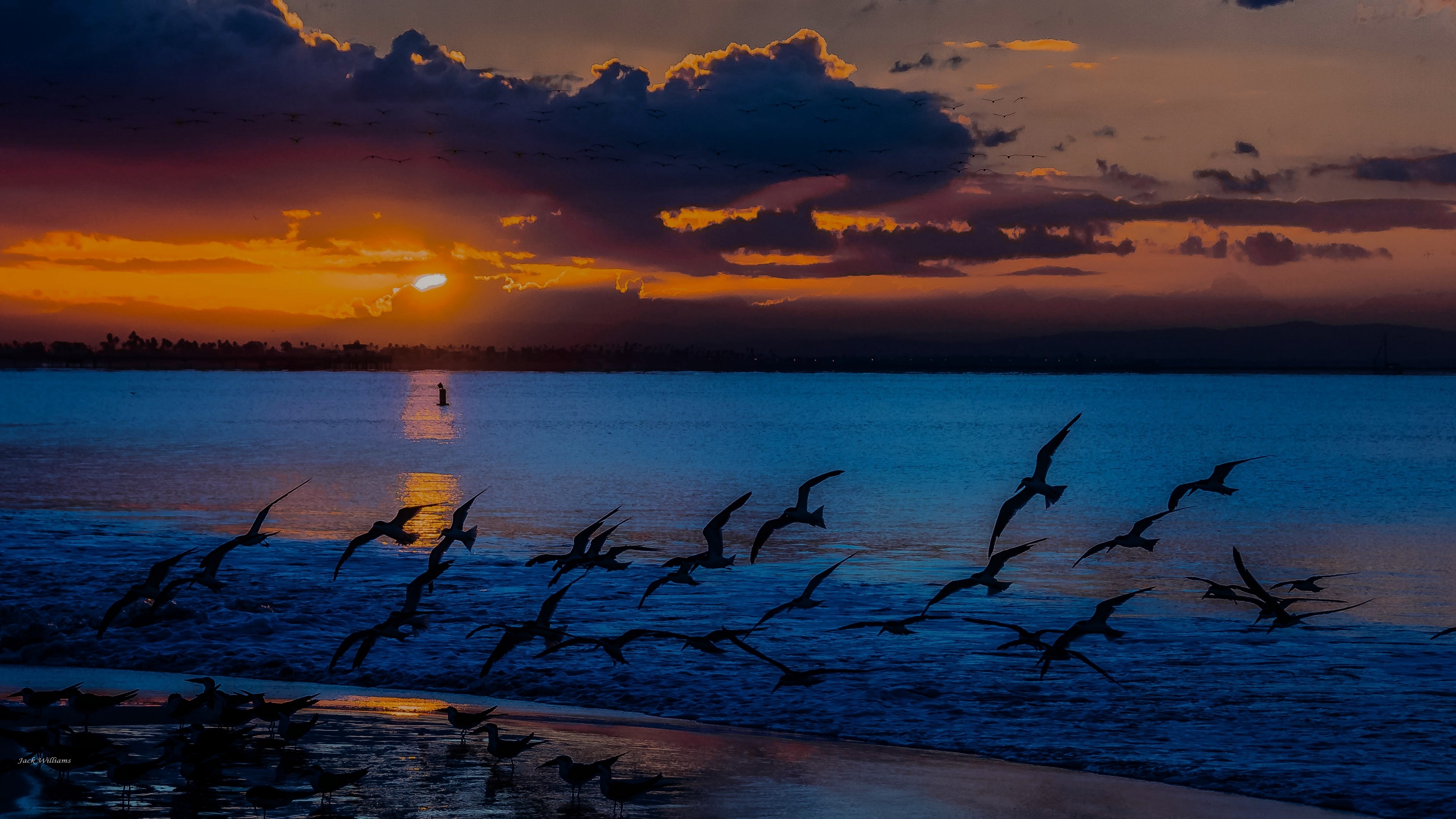 Seagulls flying over ocean at sunset HD Wallpaper