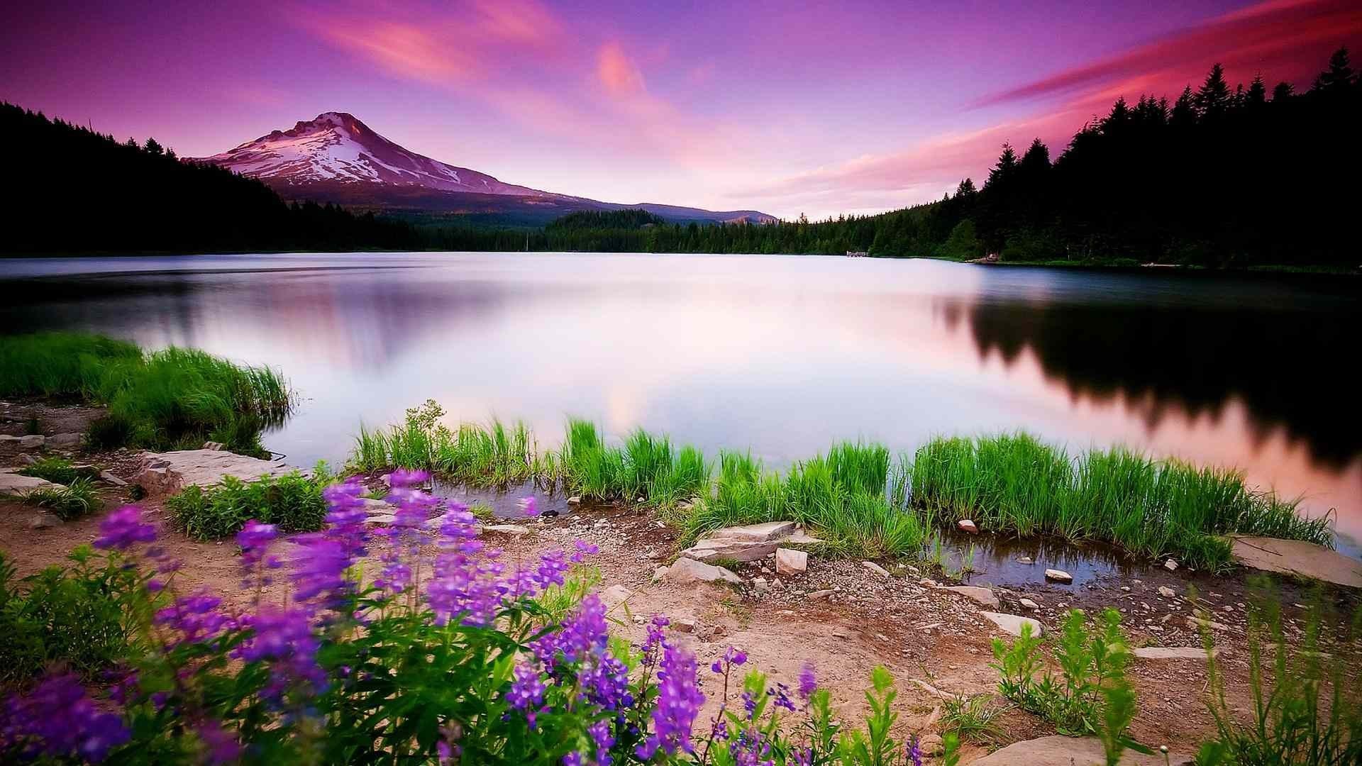 Mountain lake at sunset with purple sky HD Wallpaper