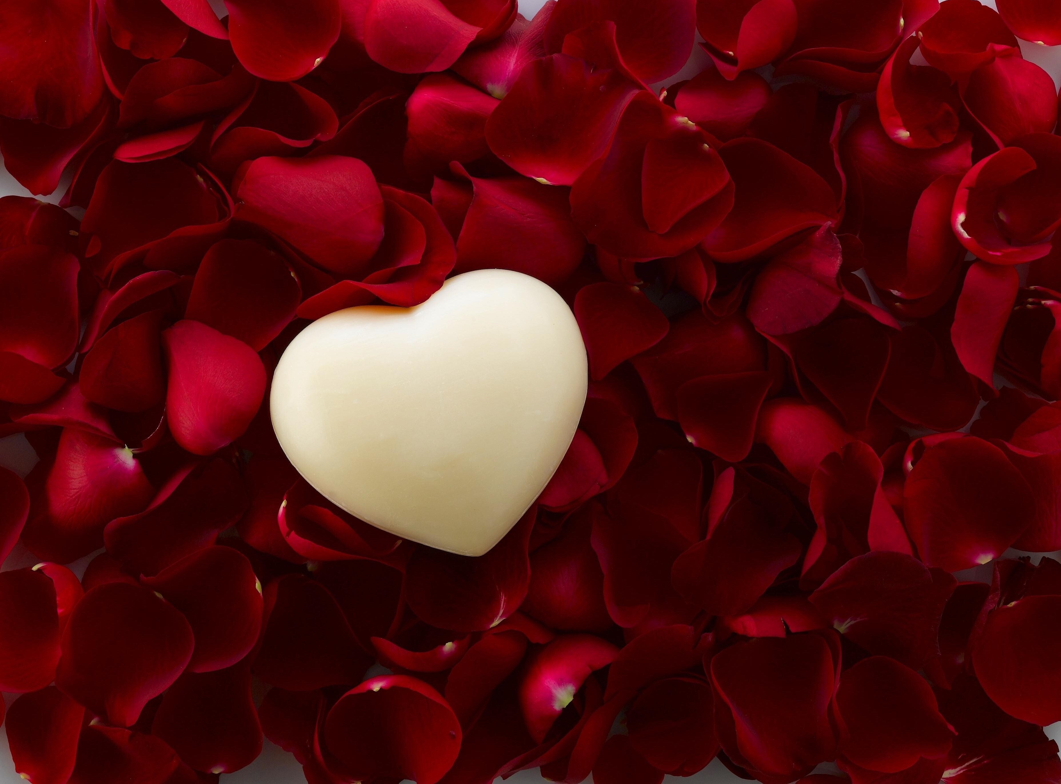 Heart-shaped candy on red rose petals HD Wallpaper