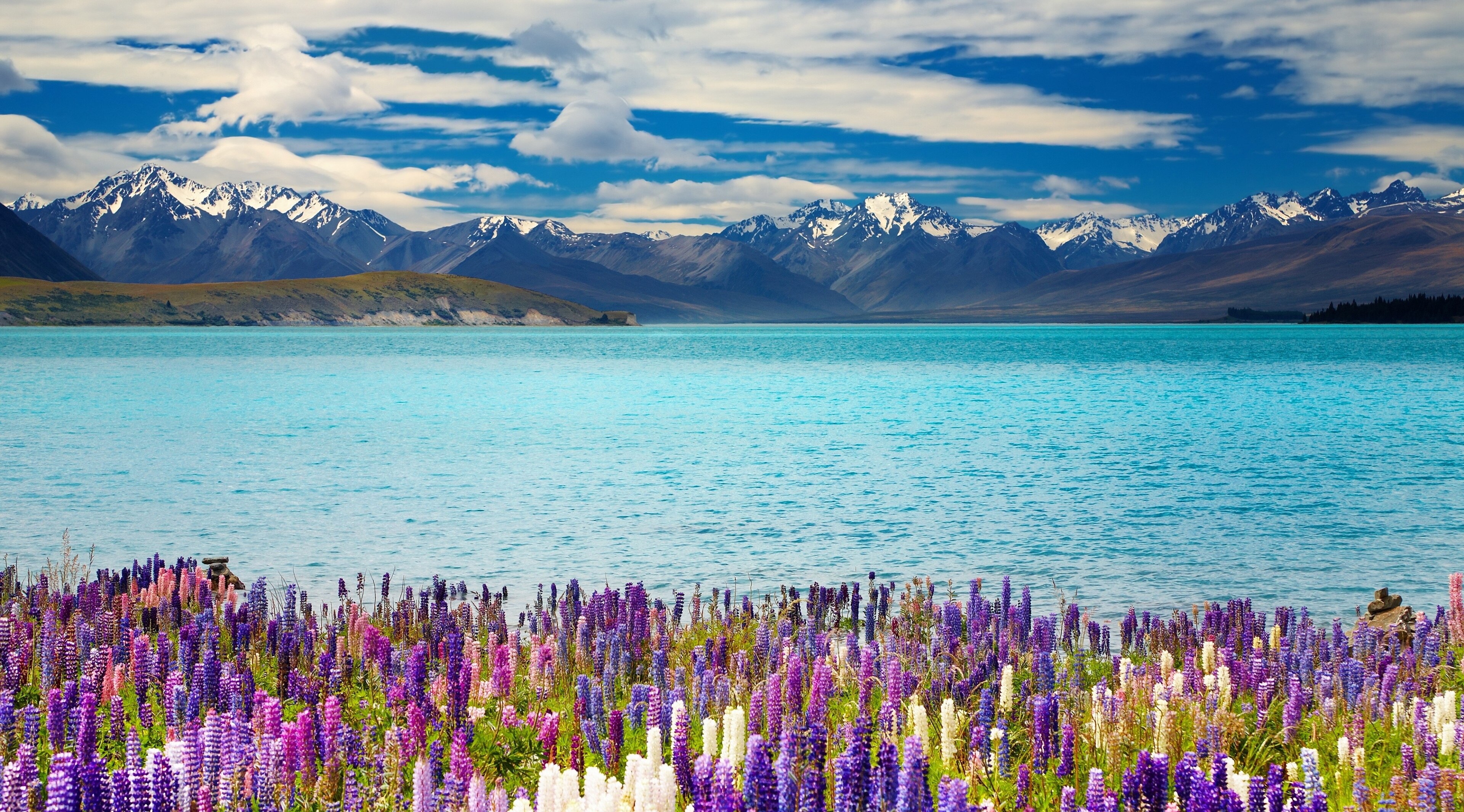Lake Tekapo with Lupins and Mountains 4K HD Wallpaper