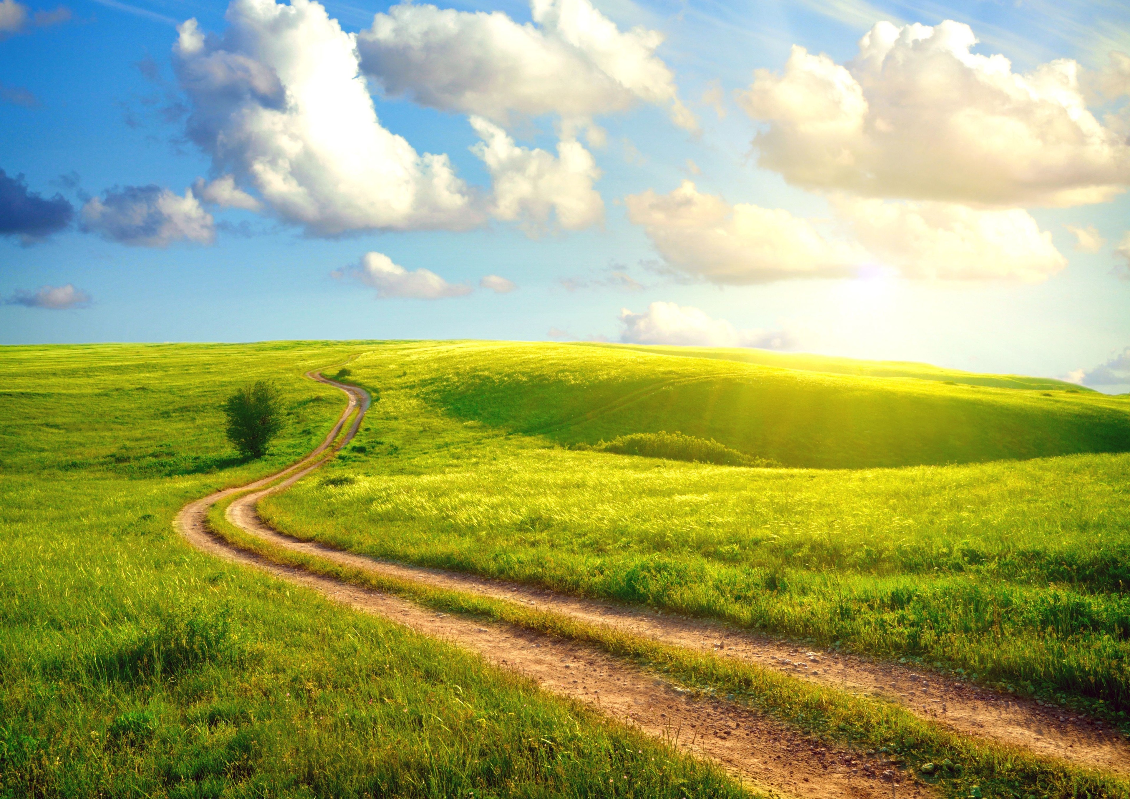 Sunshine over a winding dirt road in a green field HD Wallpaper